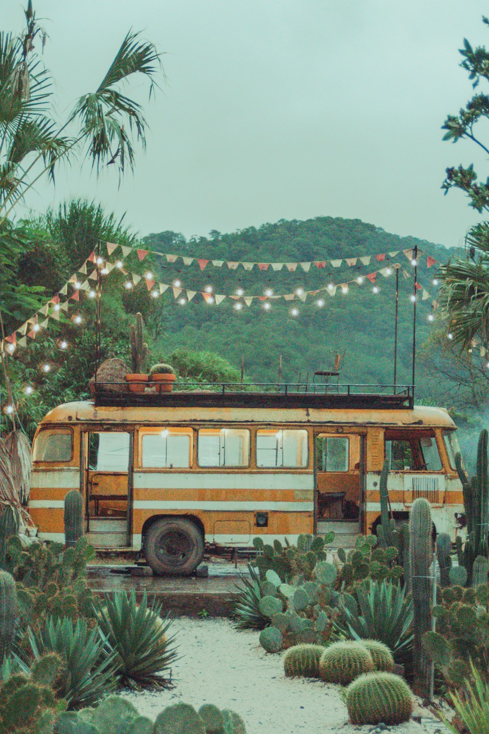 yellow bus on the road