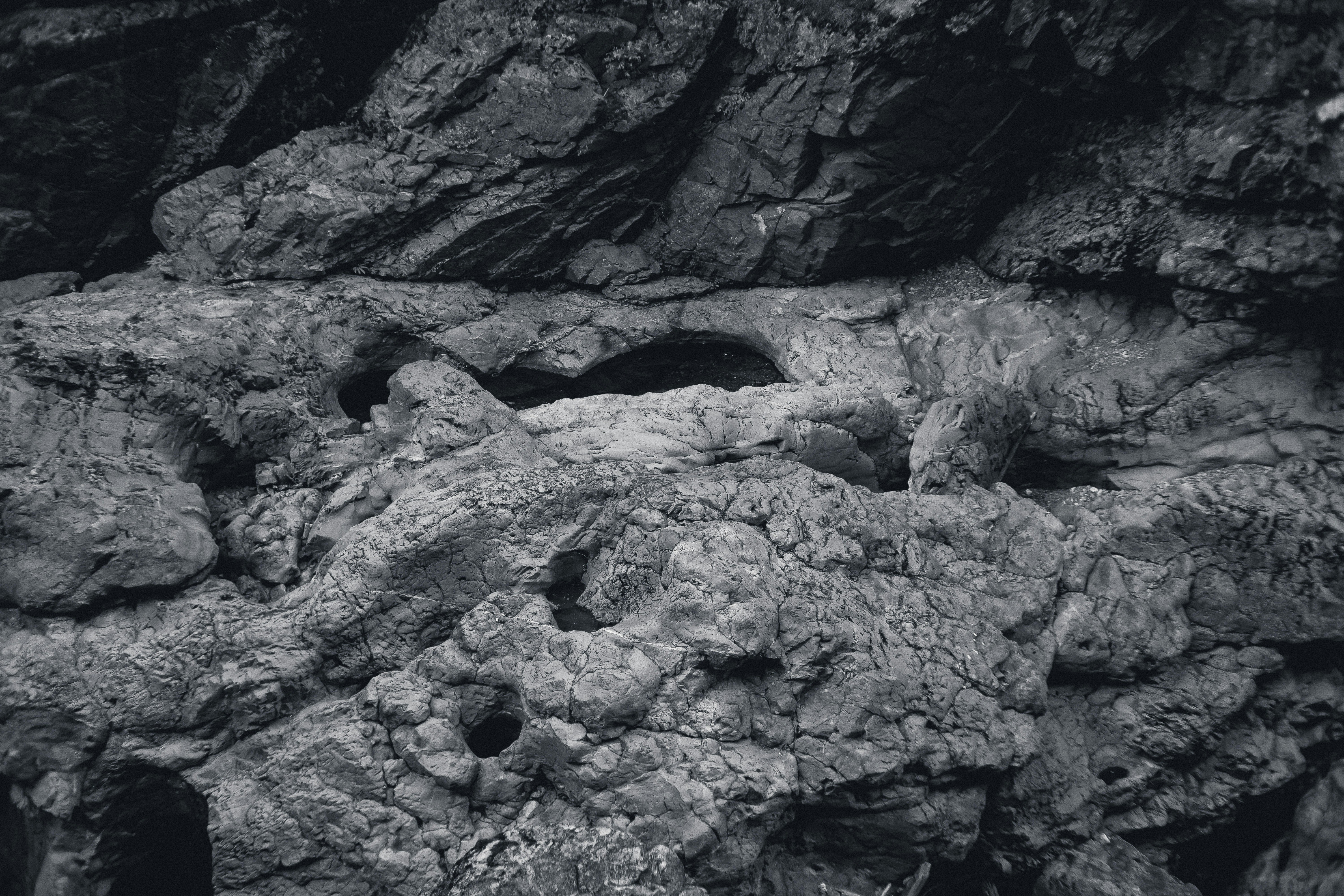 Photo by minusculemarie