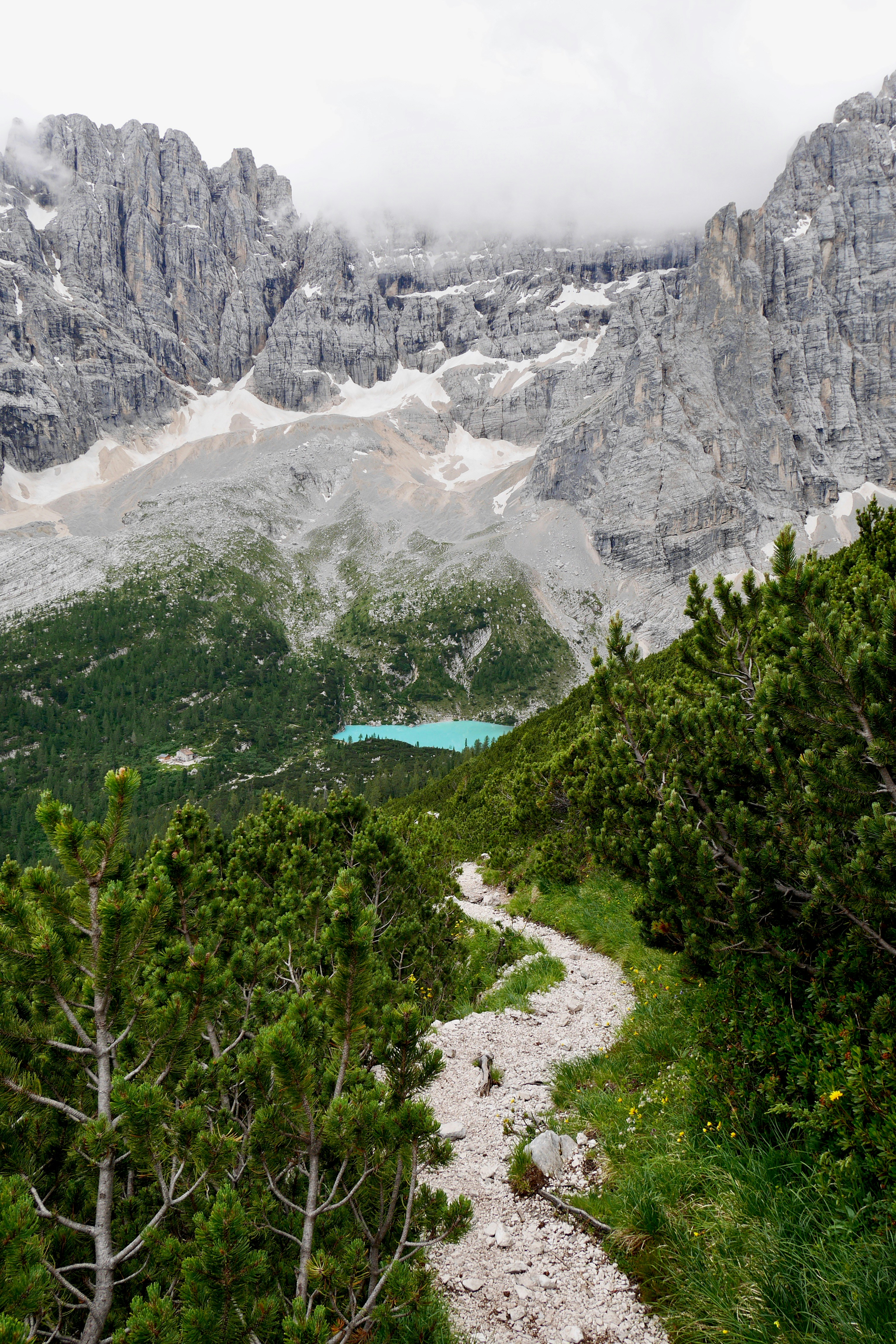 green trees near lake and mountain during daytime