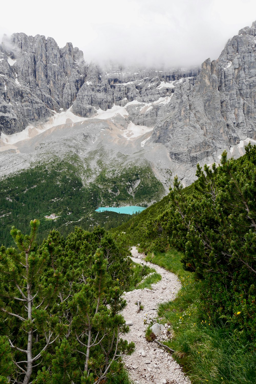 Grüne Bäume in der Nähe von See und Berg tagsüber