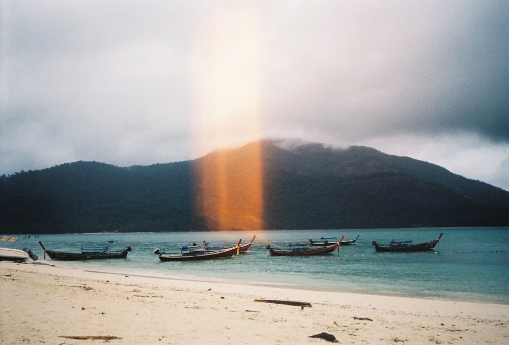 white and blue boat on beach during daytime