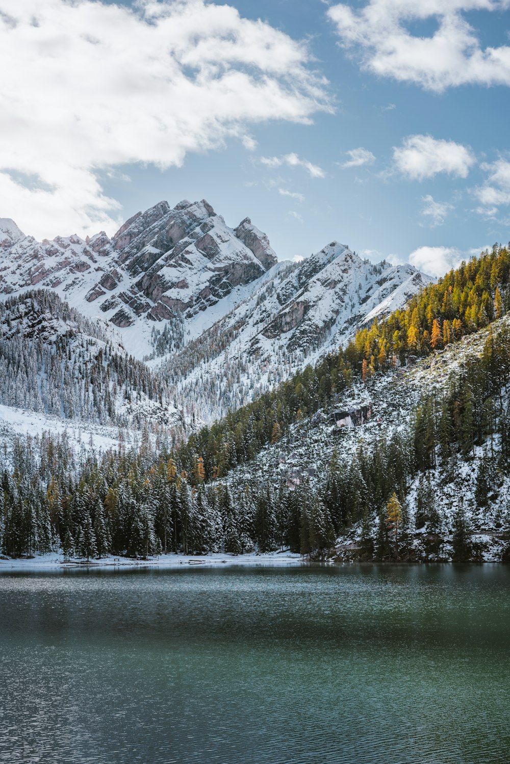 green pine trees near snow covered mountain during daytime