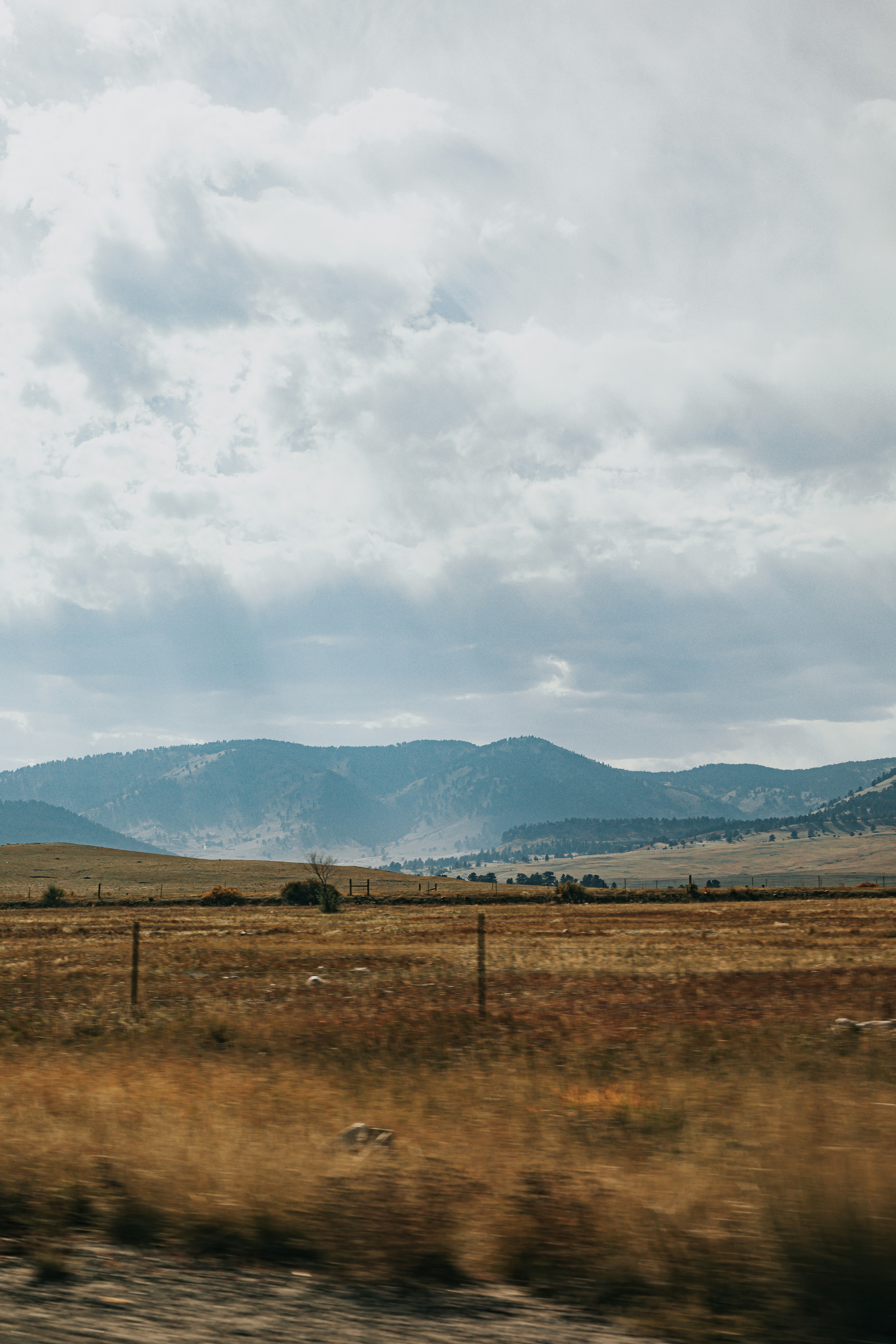 Photo by donovan_valdivia