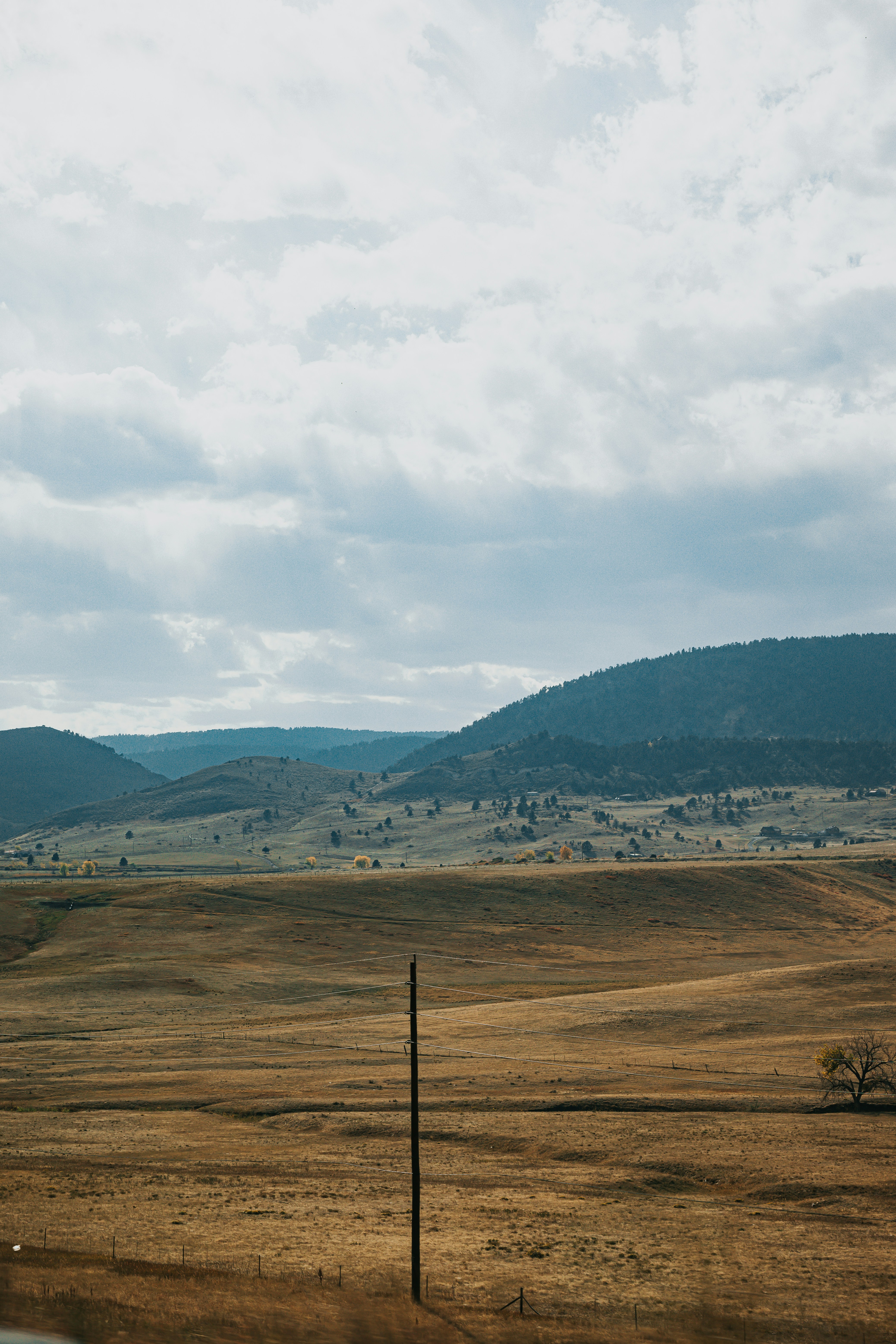 Photo by donovan_valdivia