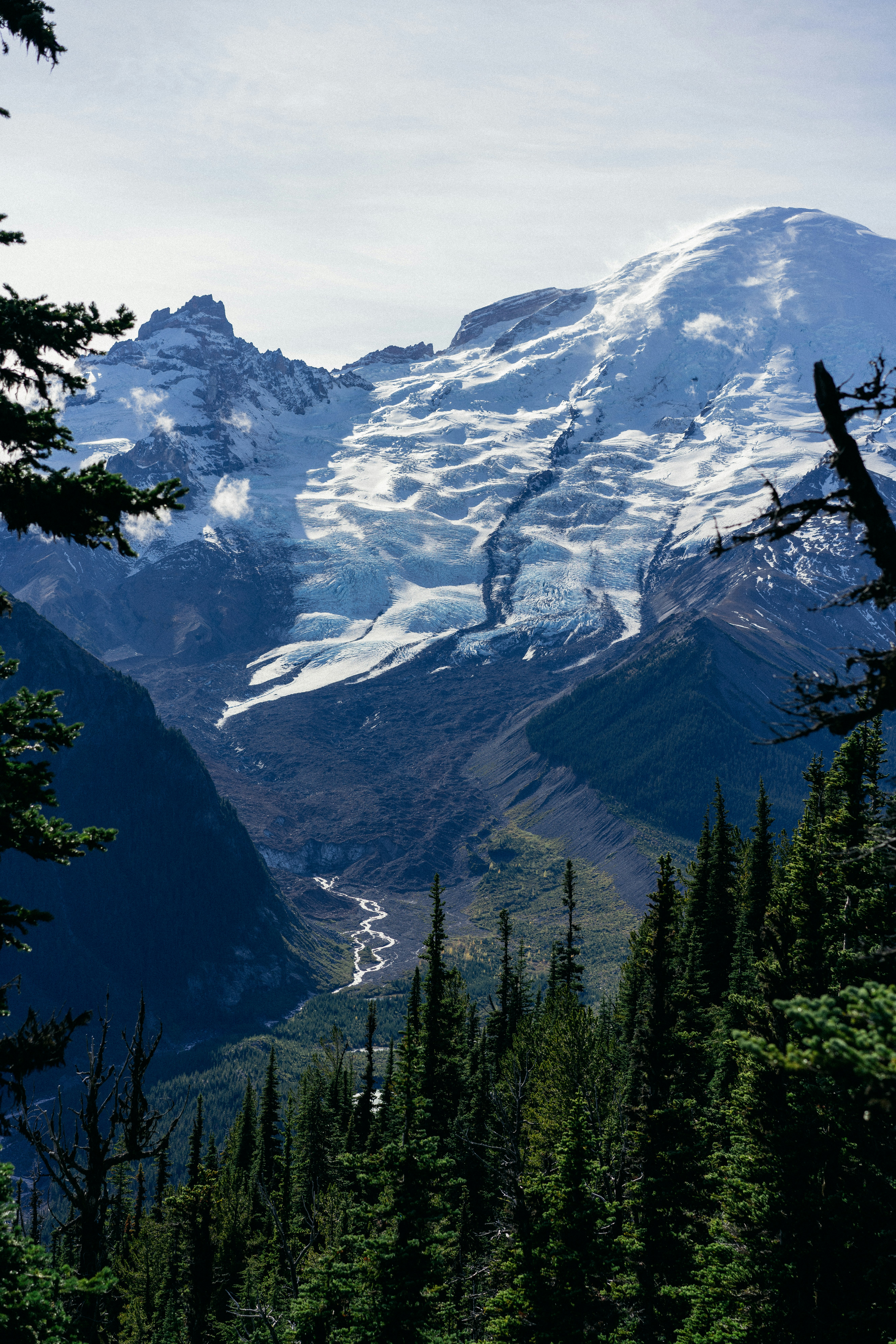 arbres verts près de la montagne enneigée pendant la journée