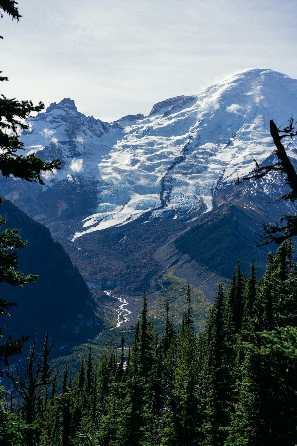 green trees near snow covered mountain during daytime