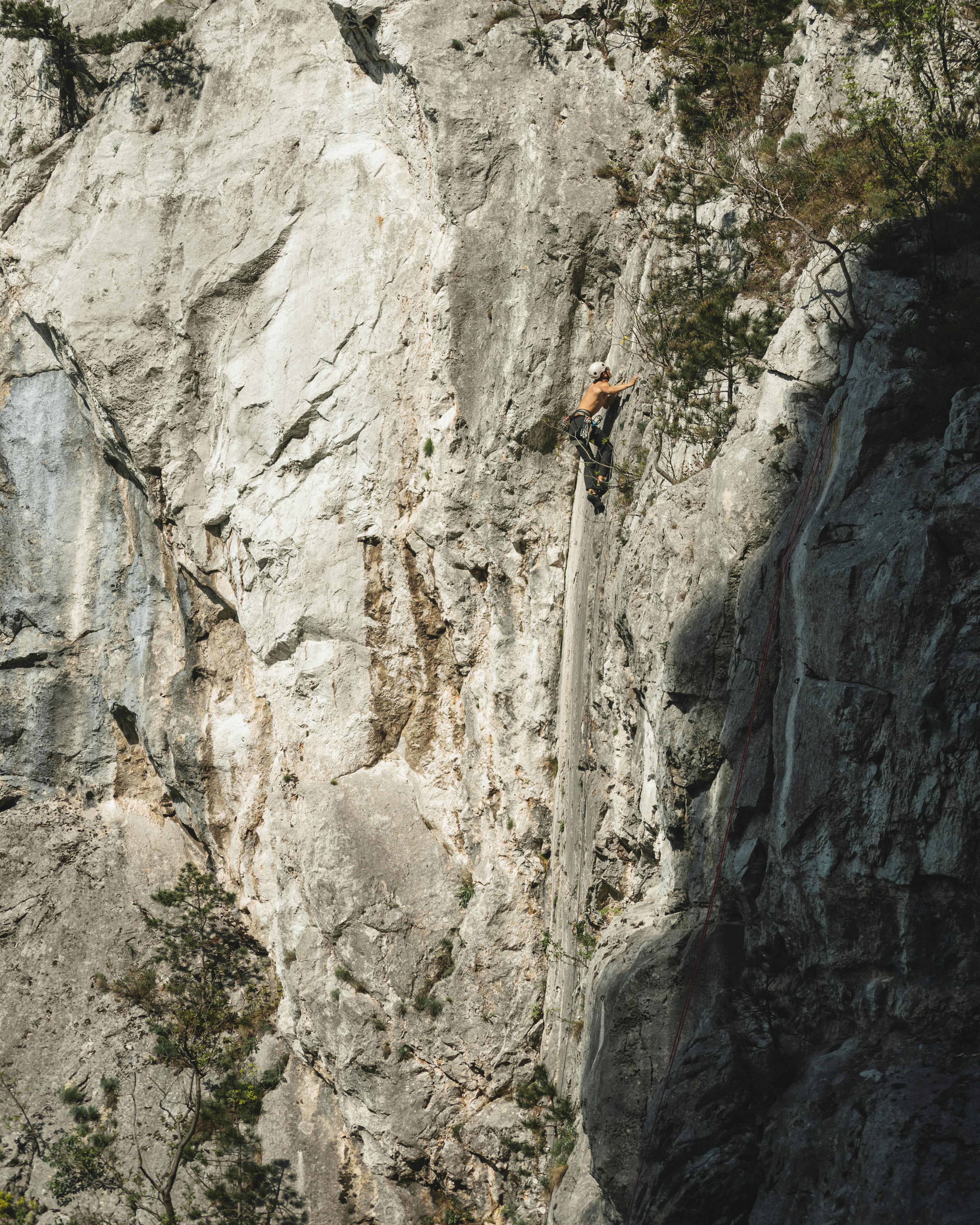 Photo by isacciobota