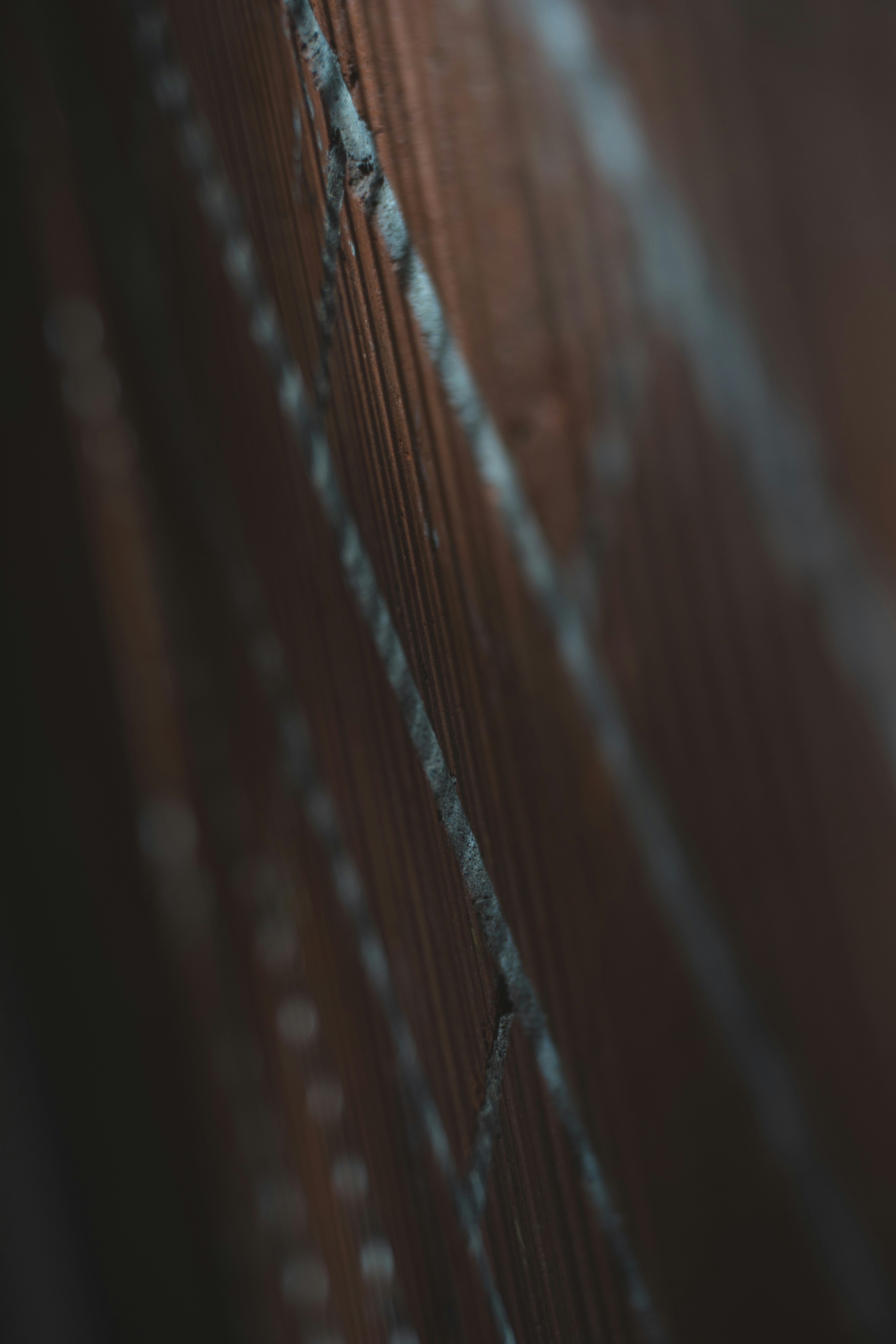 Photo by courtneysmith