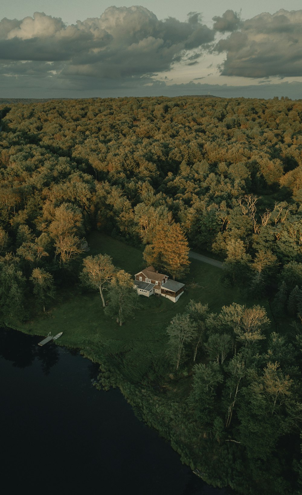 aerial view of green trees and river during daytime