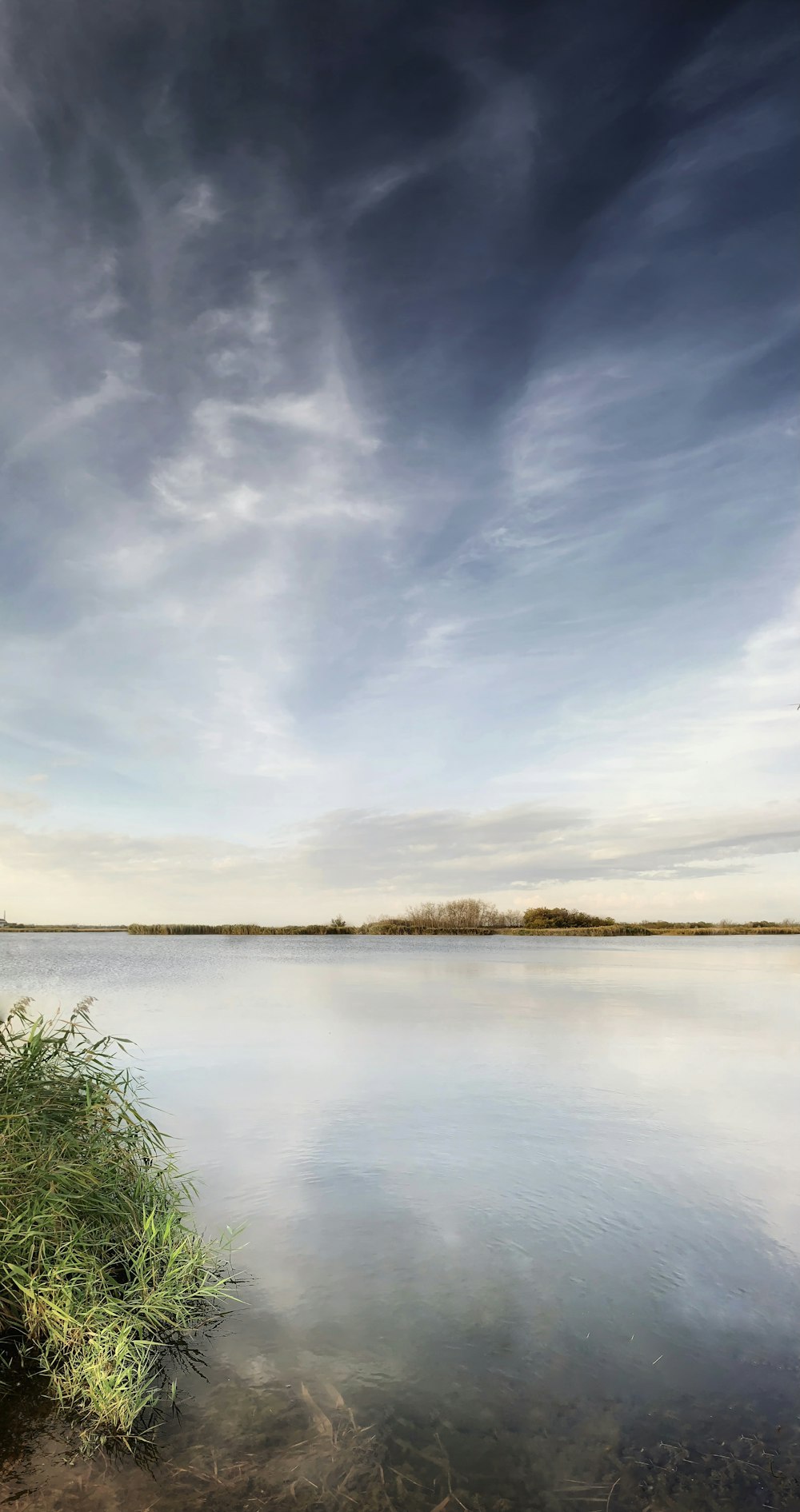 green grass near body of water under cloudy sky during daytime