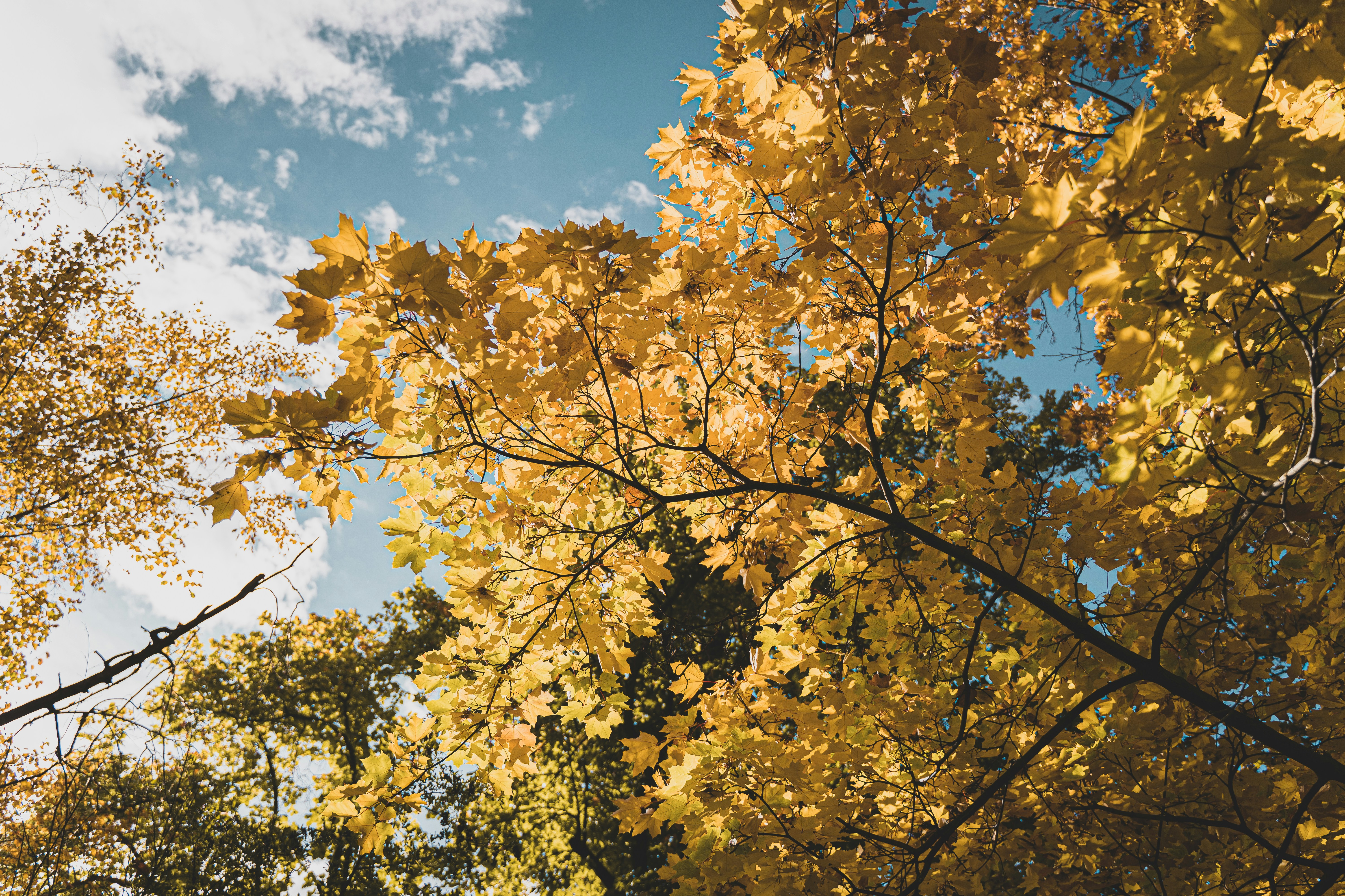 Photo by courtneysmith