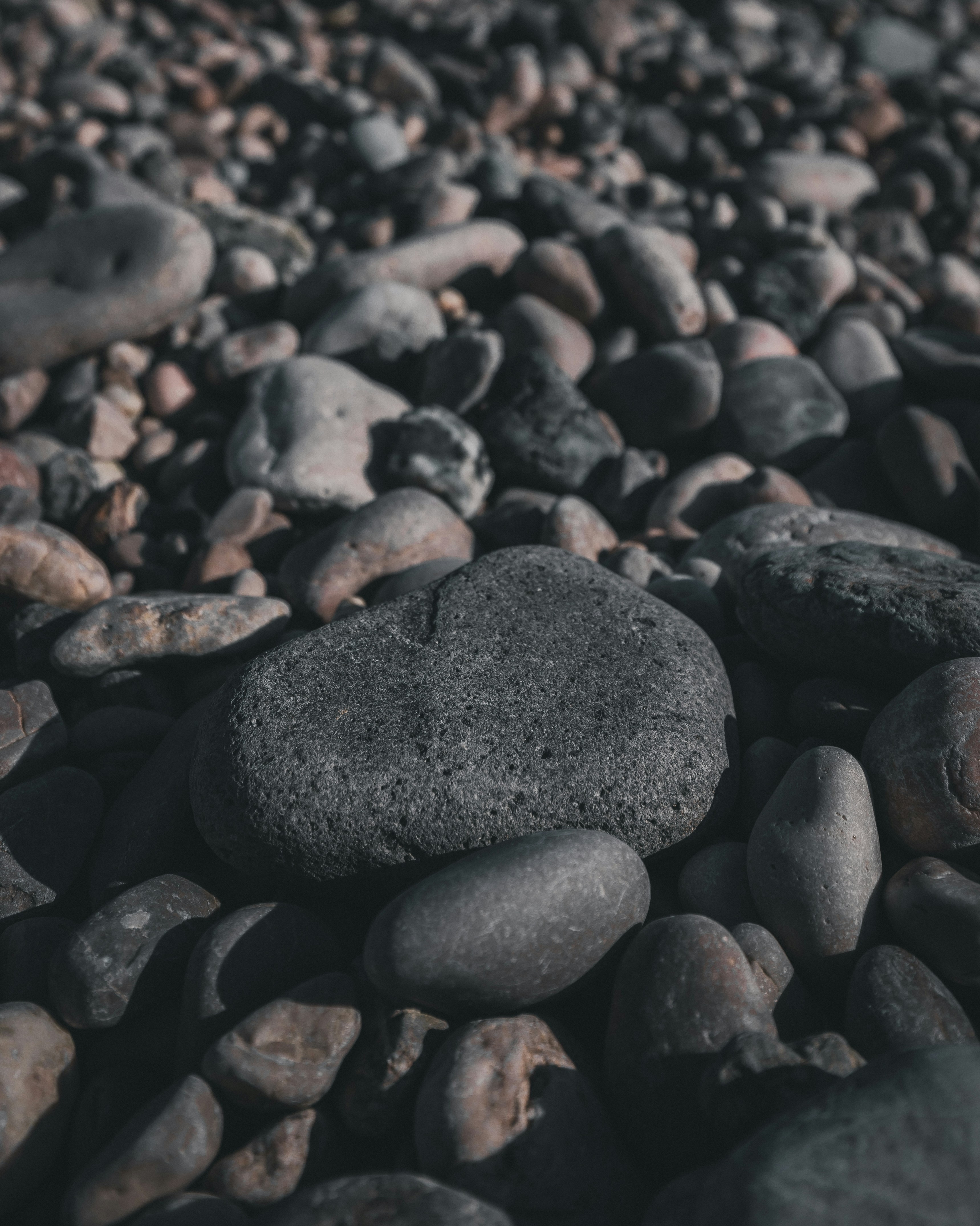 Photo by adamneumann