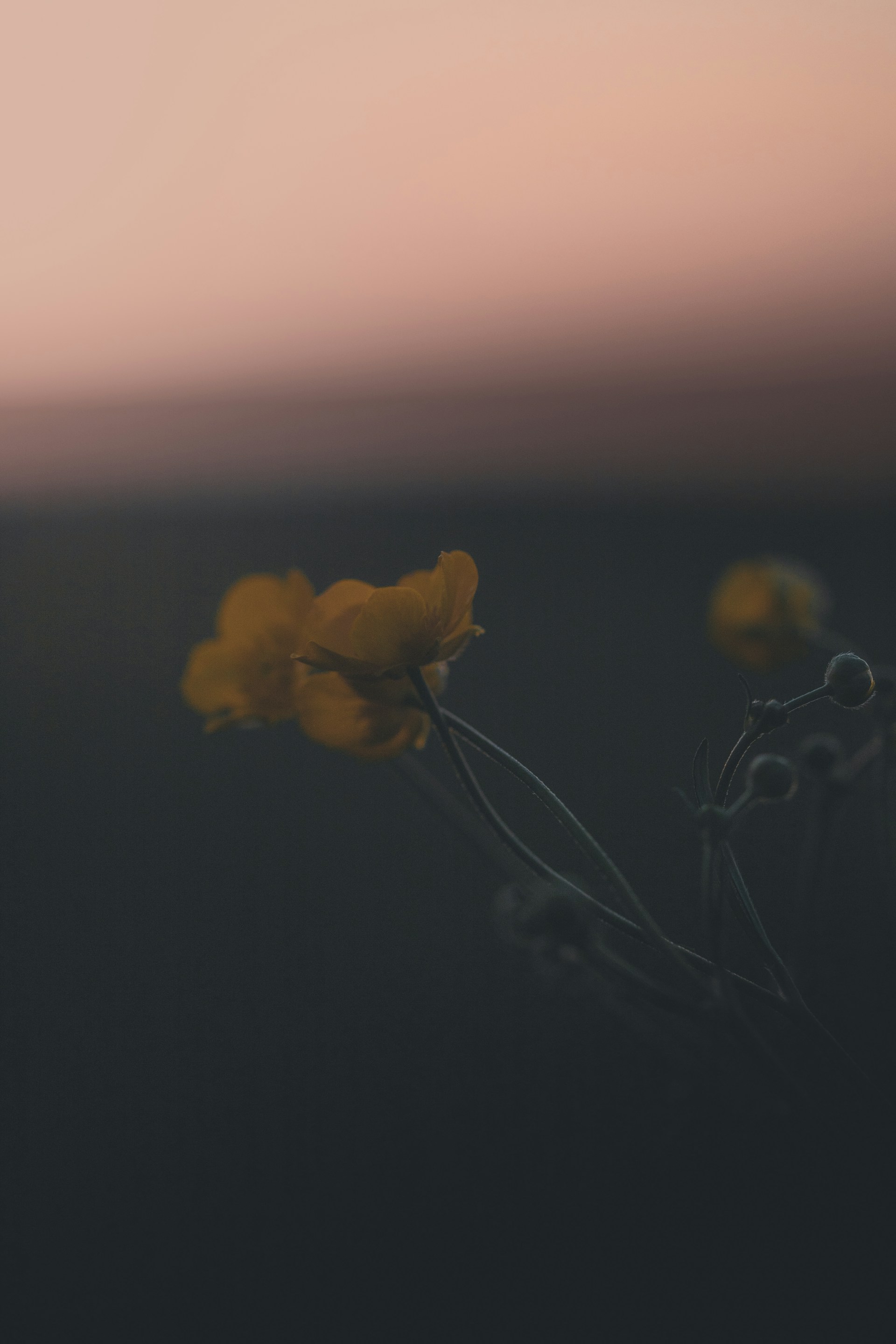 couple wearing silver-colored rings
