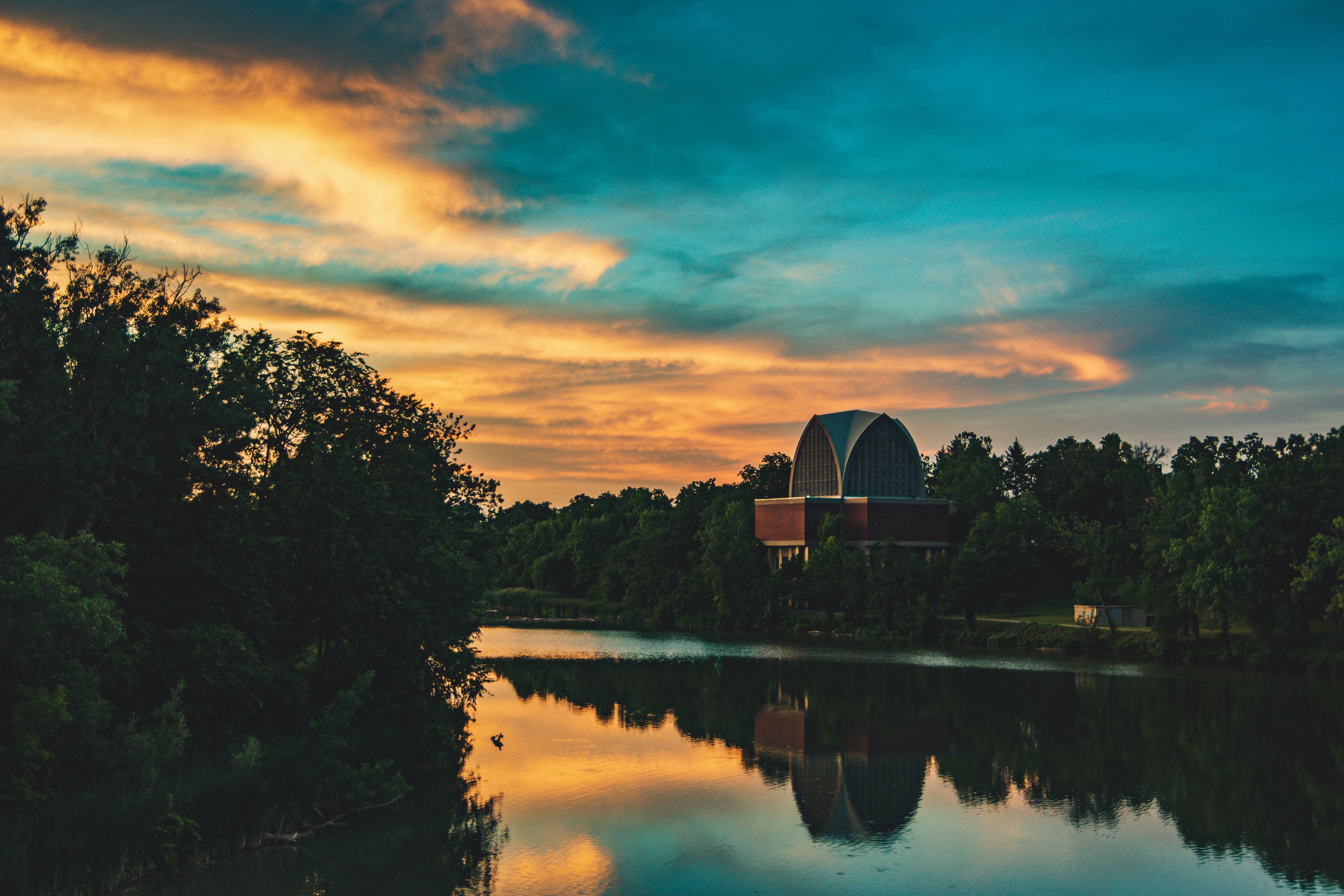 green trees near body of water during sunset
