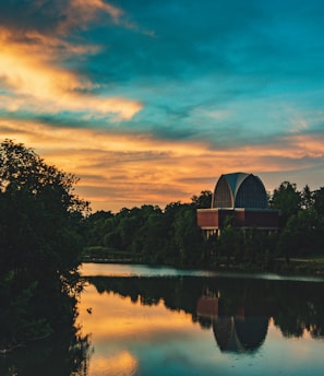 green trees near body of water during sunset