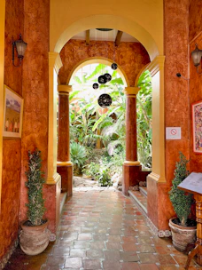 brown concrete building with green plants