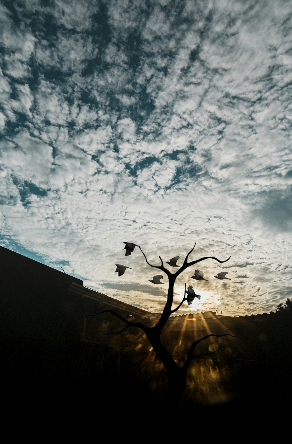 white clouds and blue sky during daytime