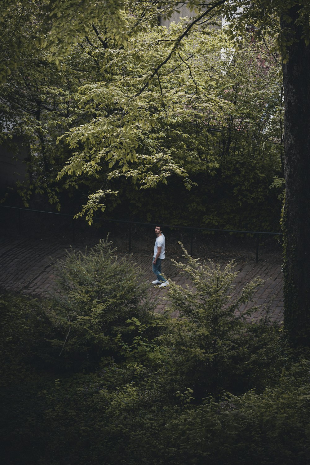 man in white t-shirt and blue denim jeans walking on pathway between green trees during