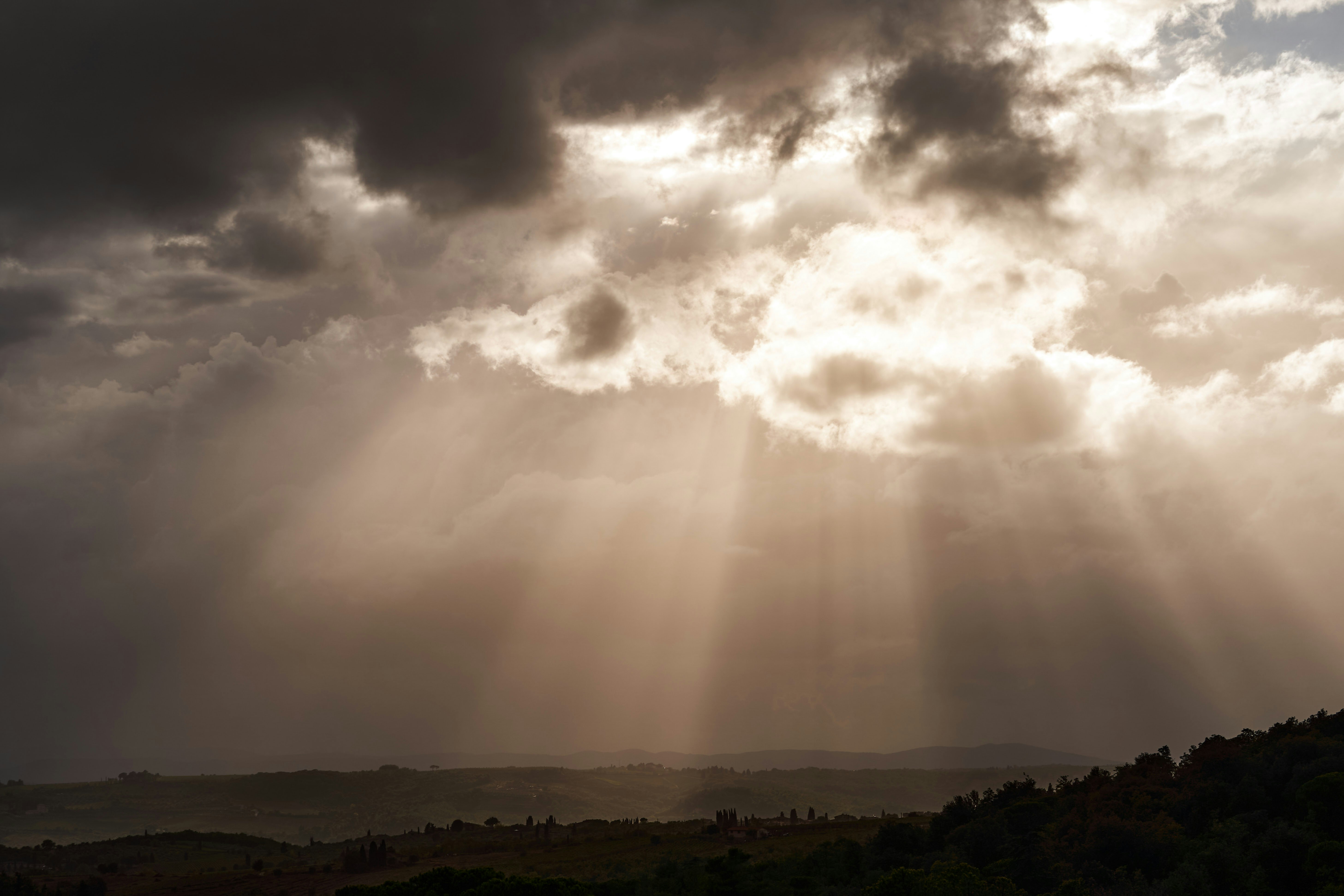 Photo by wolfgang_hasselmann