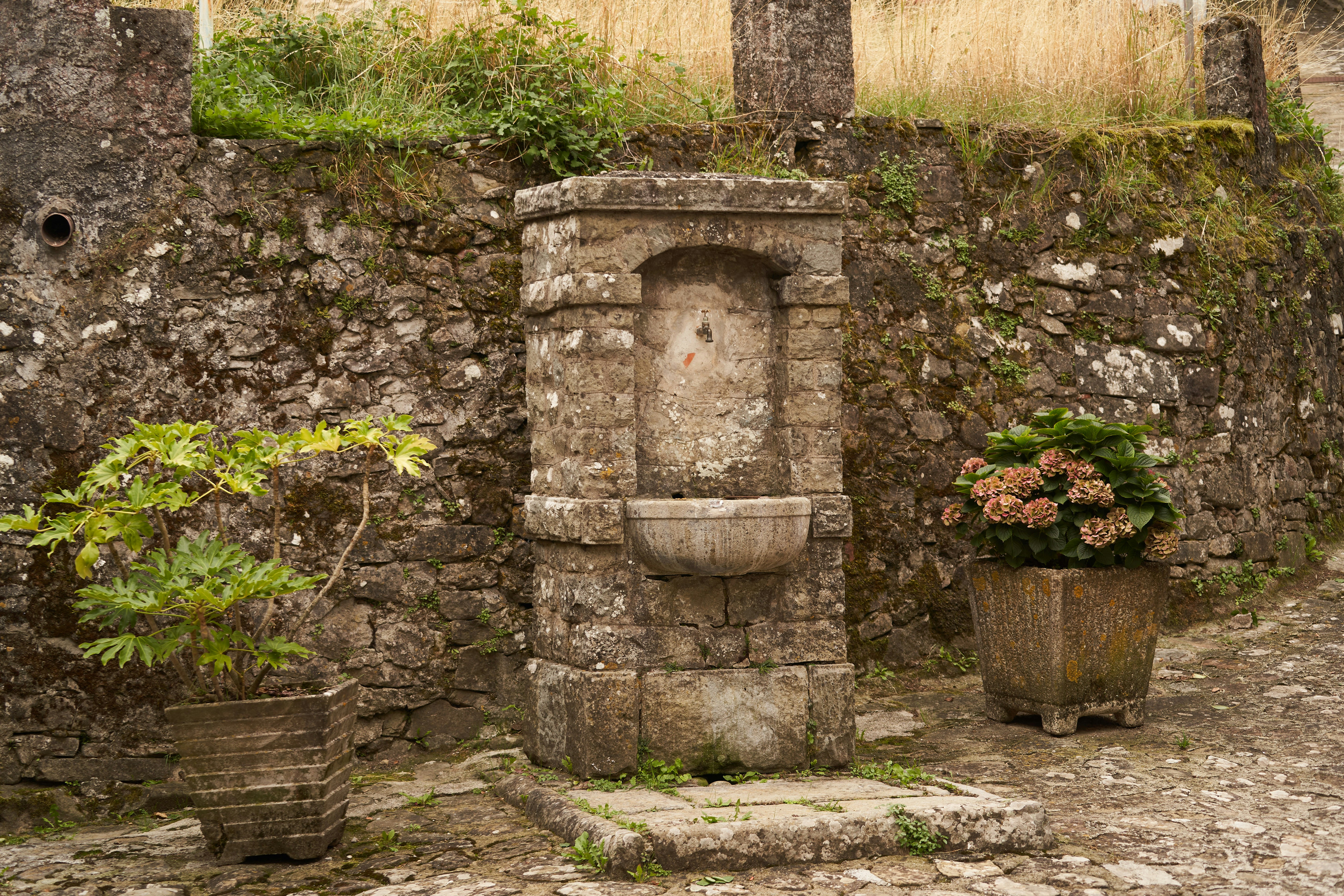 Photo by wolfgang_hasselmann