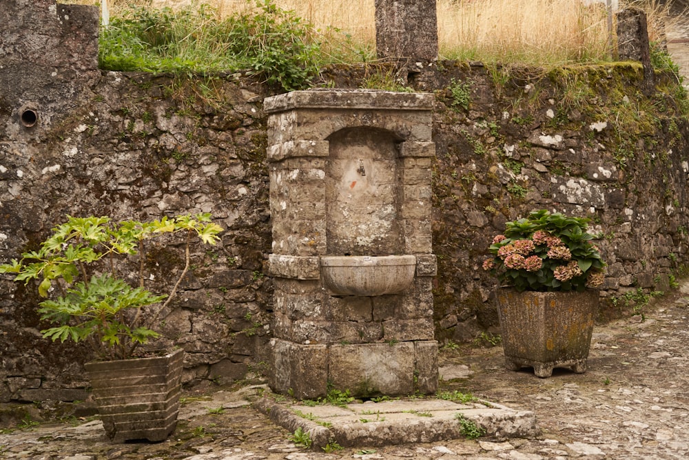 arco de concreto cinzento com plantas verdes