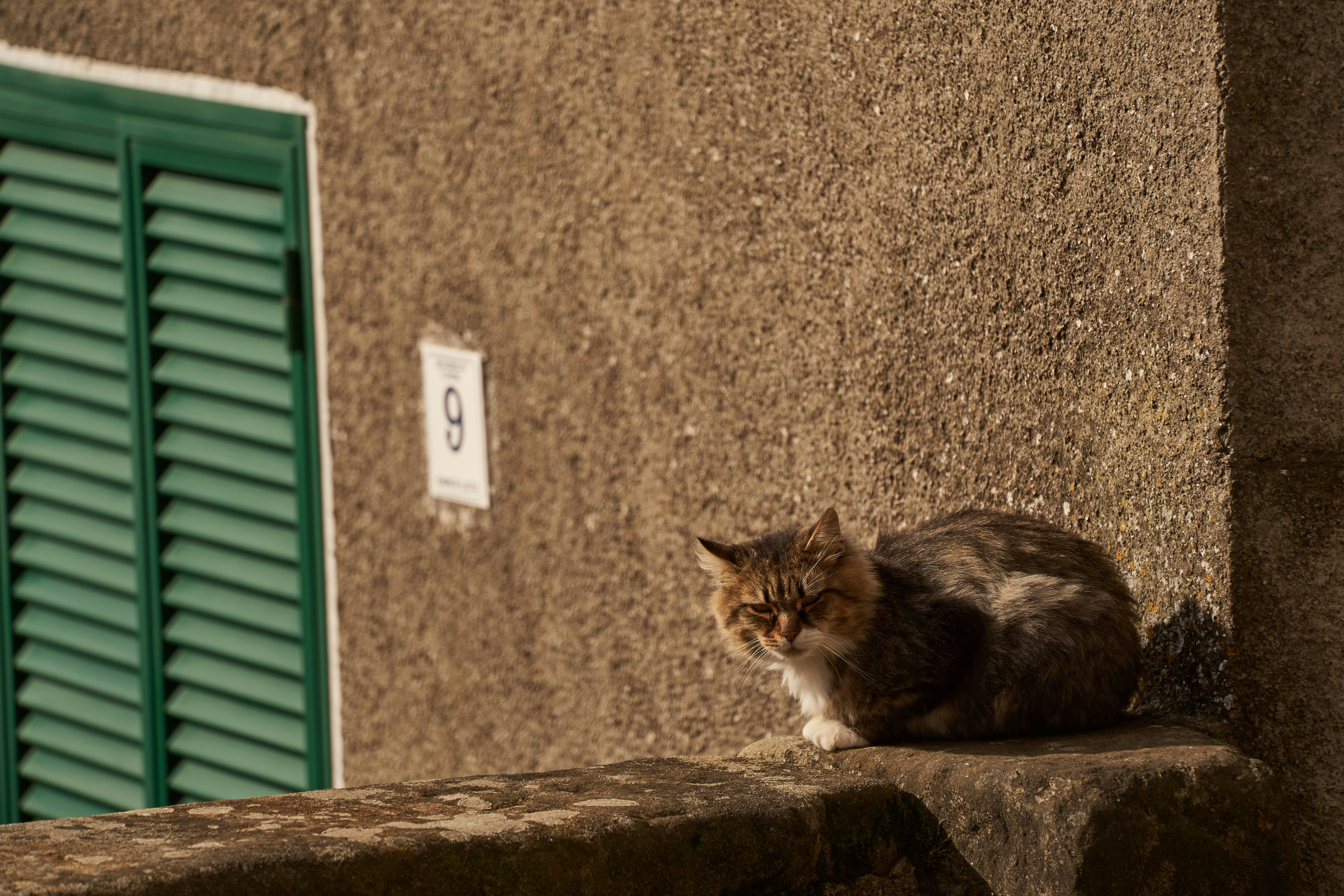 Photo by wolfgang_hasselmann