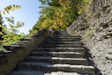 Architectural stone steps gently leading to a hidden garden nook bathed in dappled sunlight.