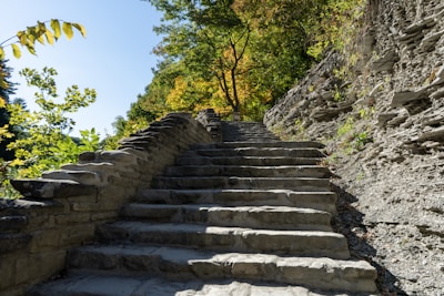 Architectural stone steps gently leading to a hidden garden nook bathed in dappled sunlight.
