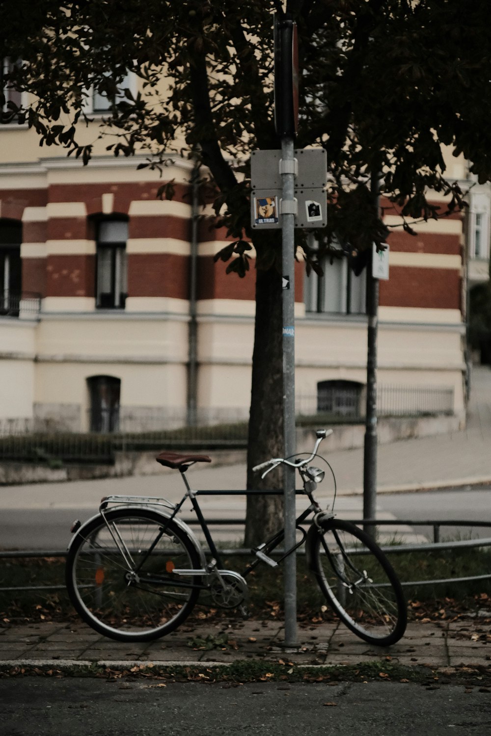 black bicycle parked beside brown tree during daytime