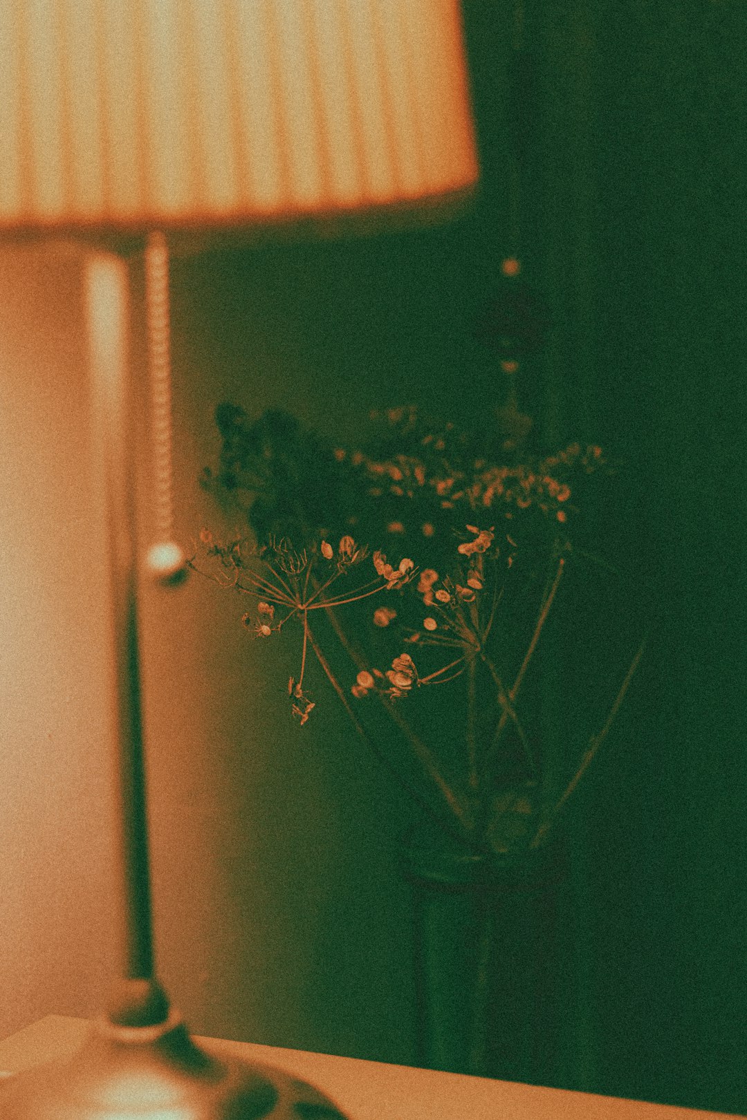 brown plant in glass vase