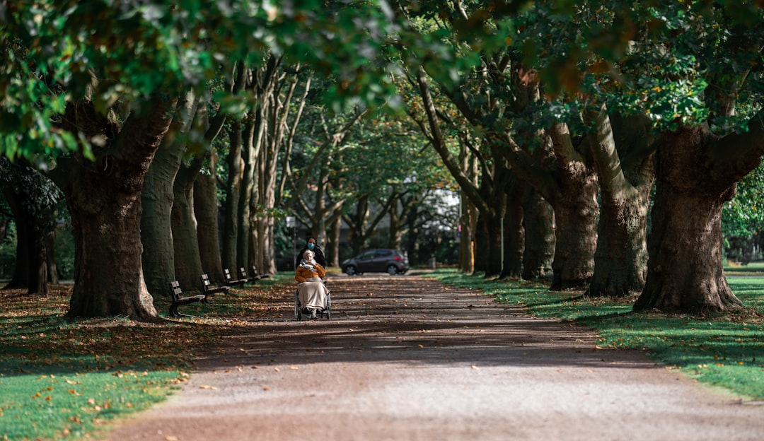 brown and white cat on road during daytime