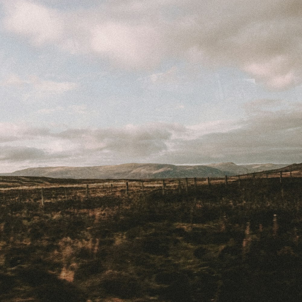 brown field under white clouds