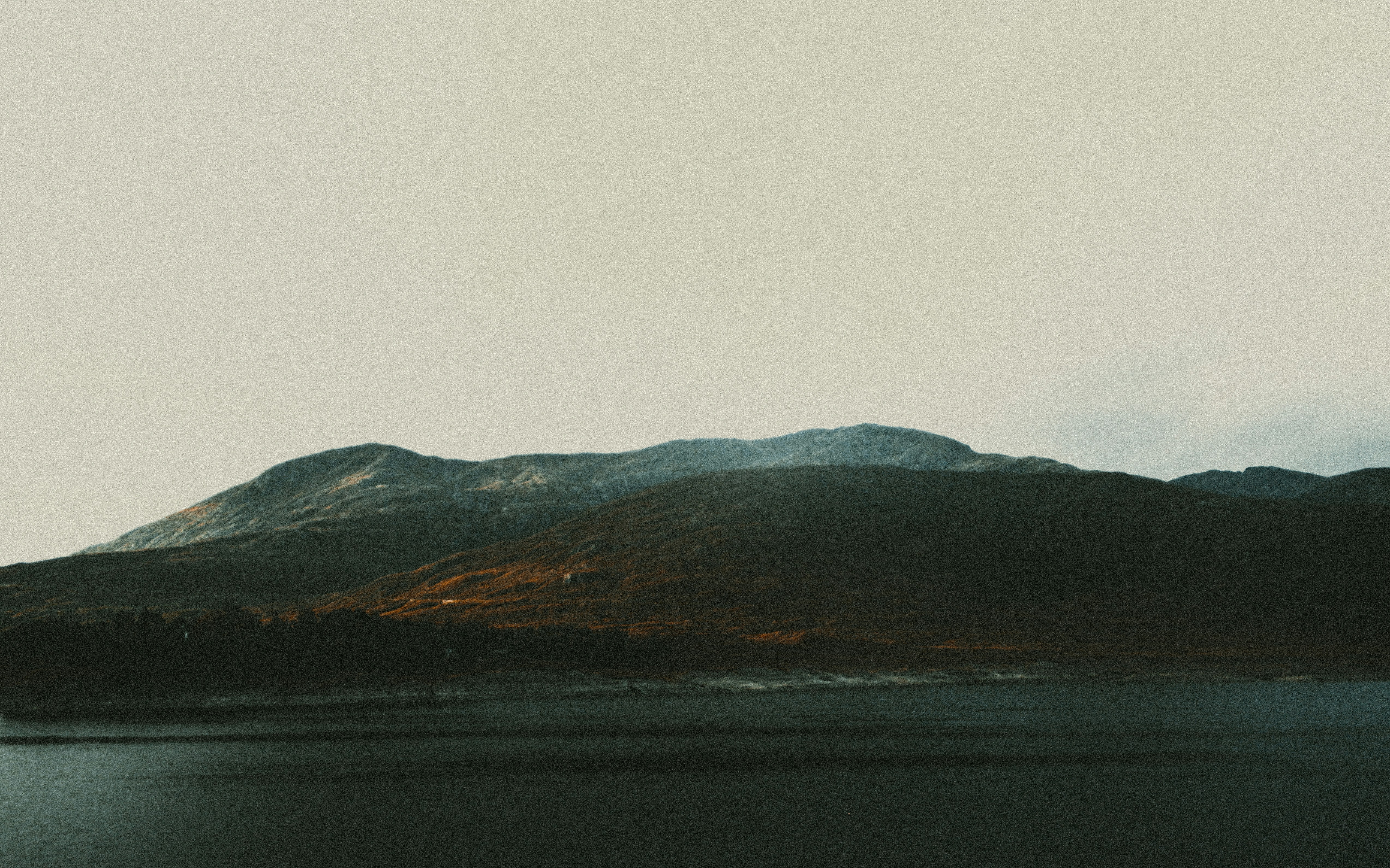 Photo by matreding