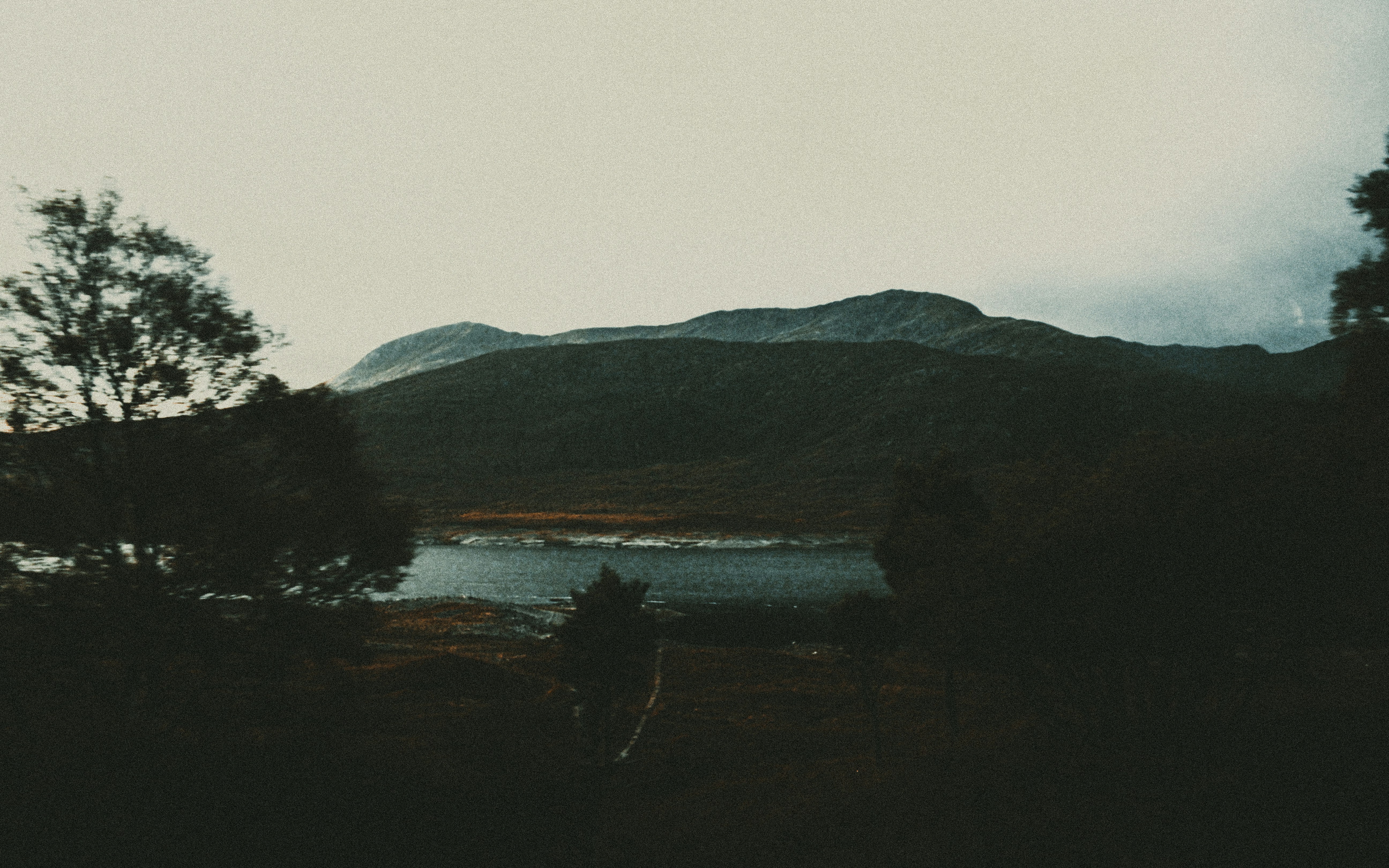 Photo by matreding