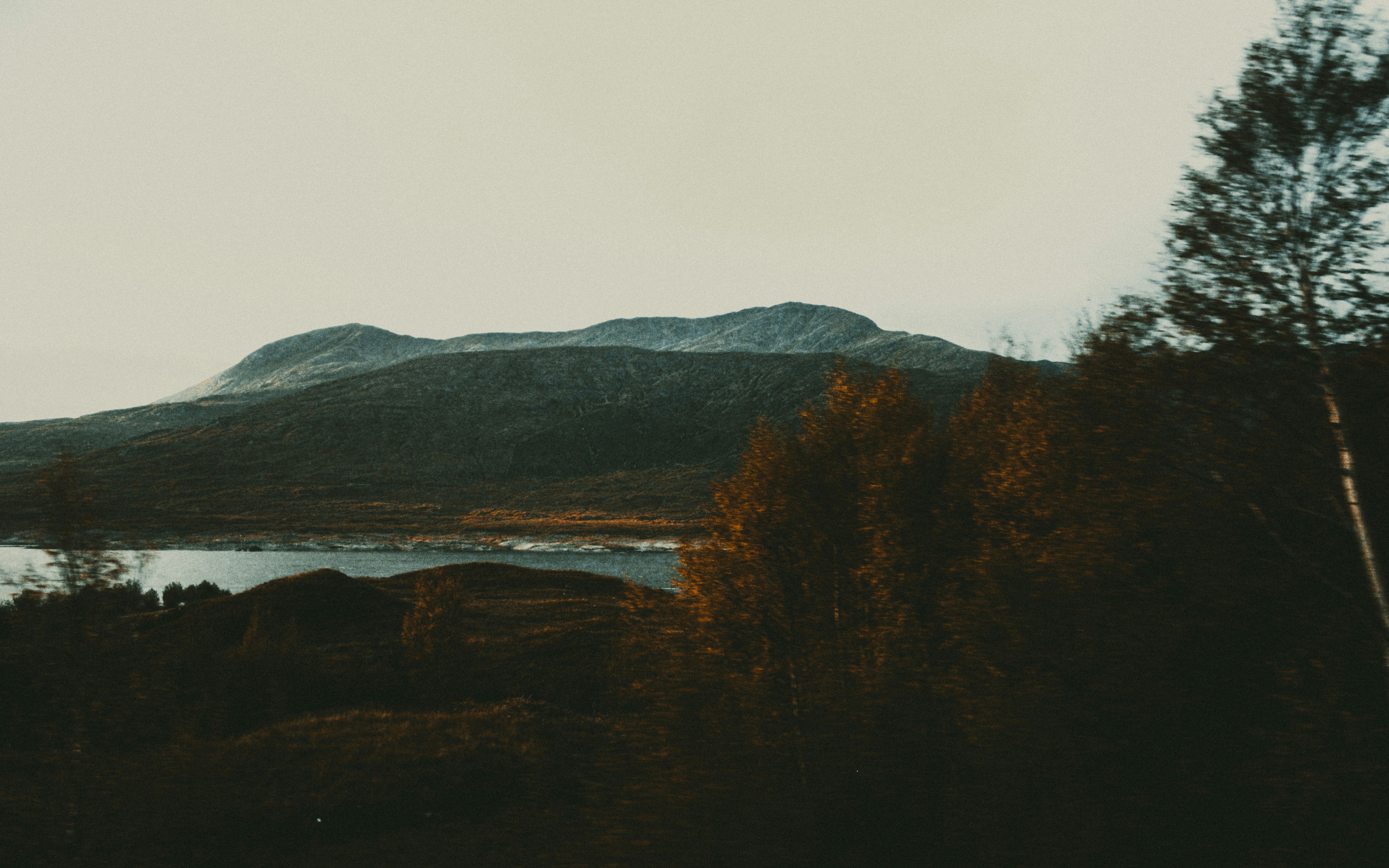 Photo by matreding