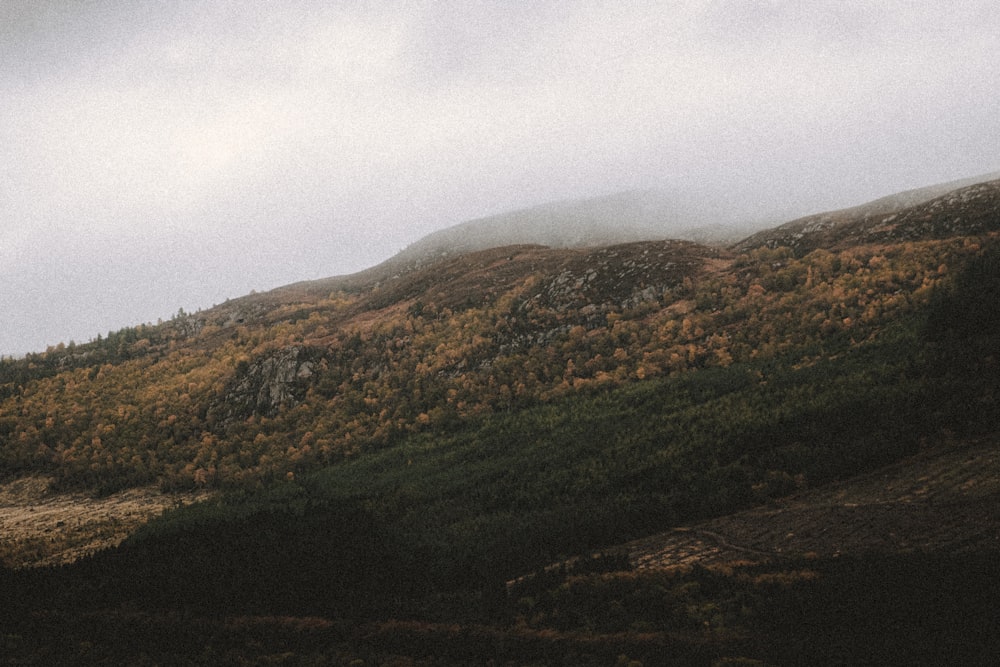 green and brown mountains under white clouds