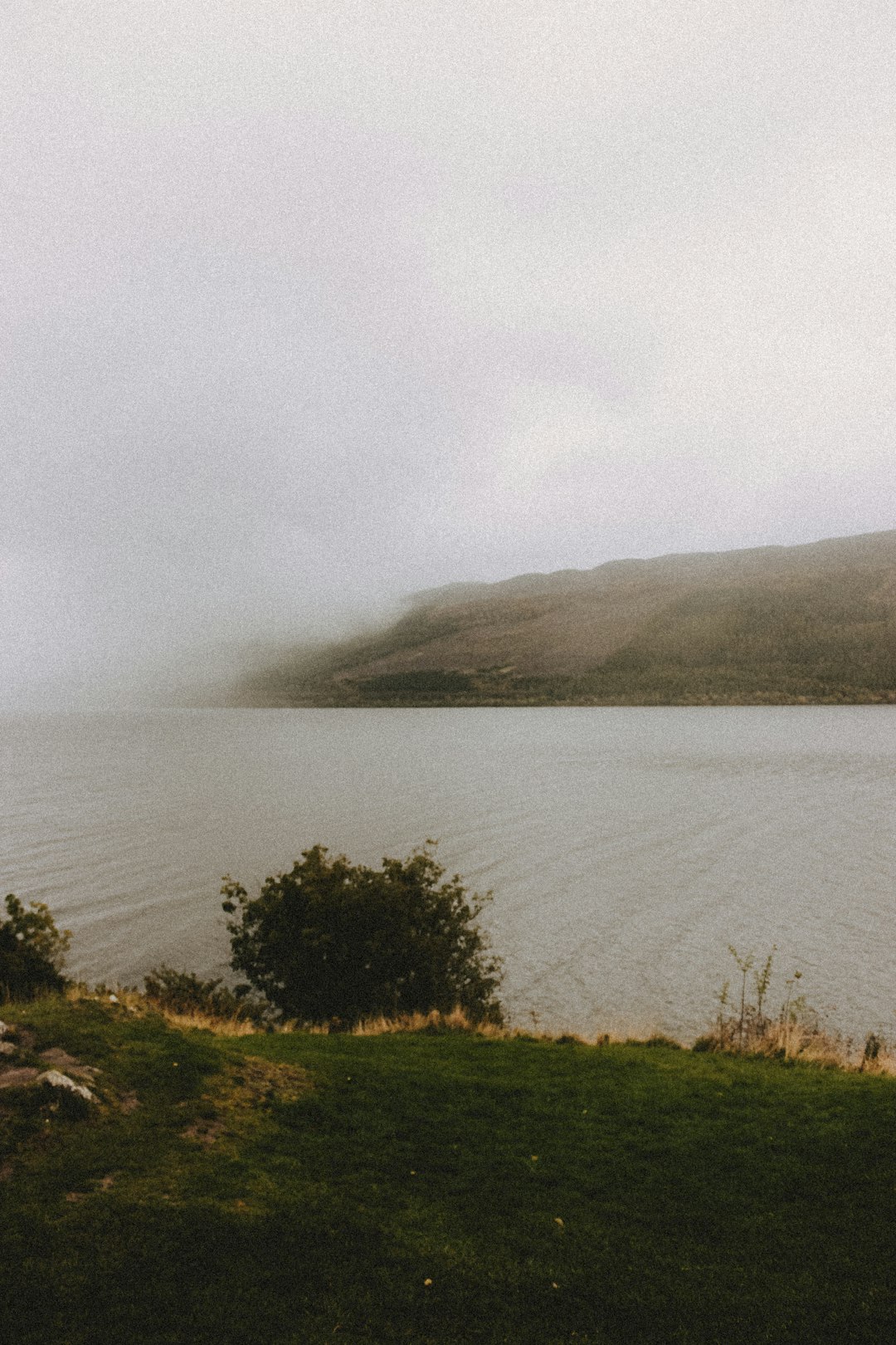 green grass field near body of water during daytime