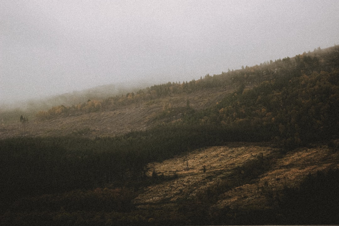 green and brown mountain under white sky during daytime