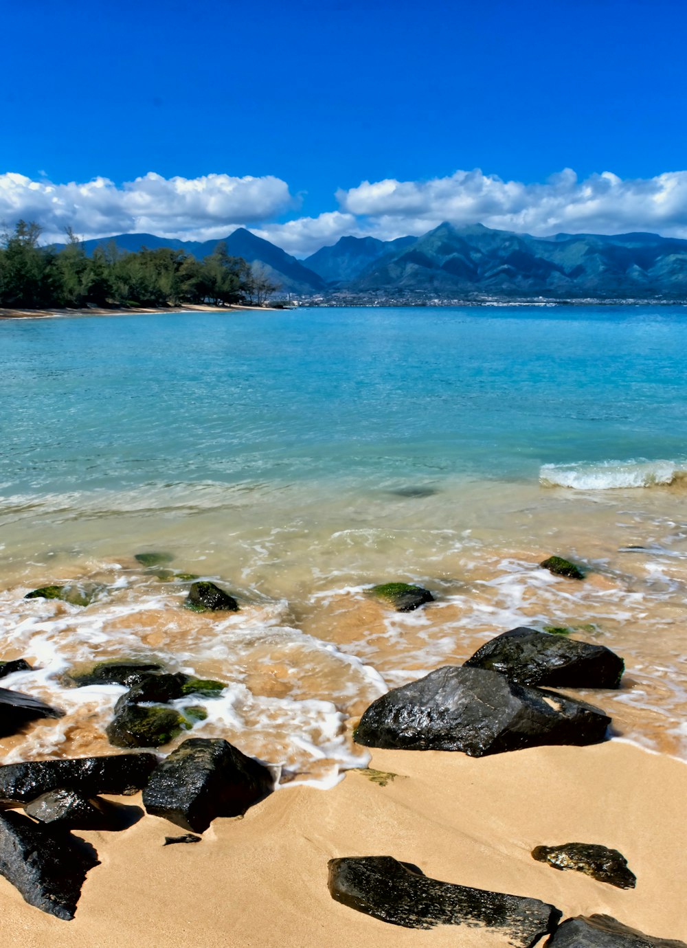 una vista di una spiaggia con rocce e acqua