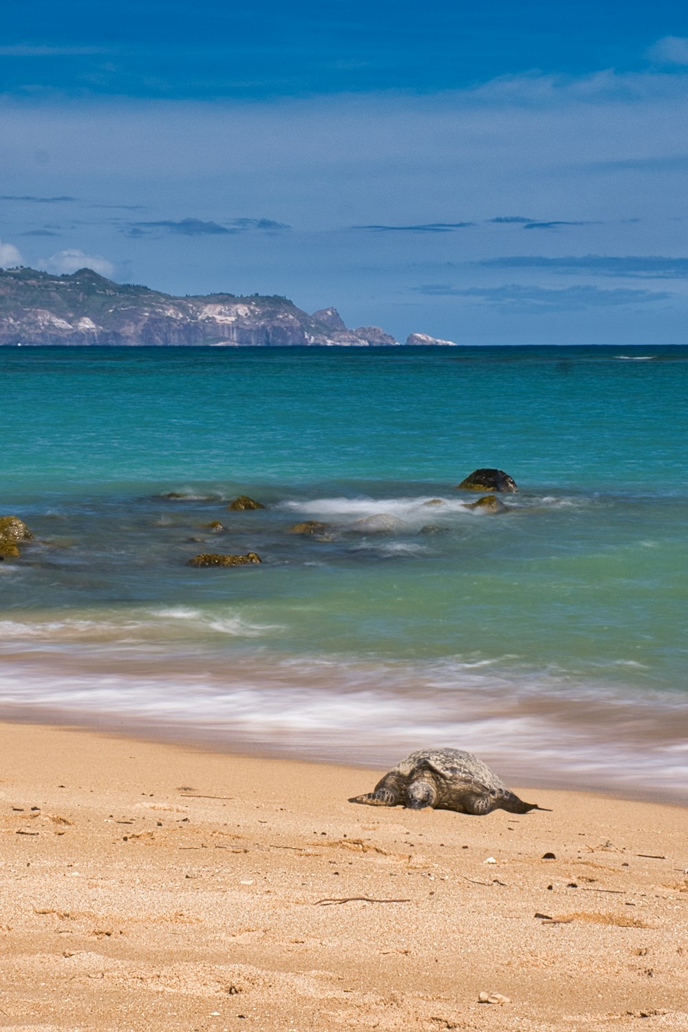 sea waves crashing on shore during daytime