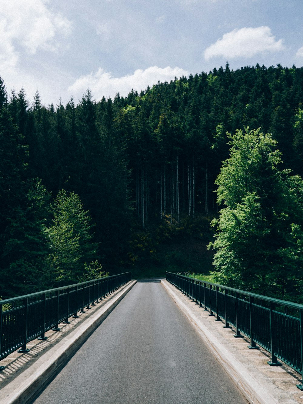 gray concrete road between green trees under white sky during daytime