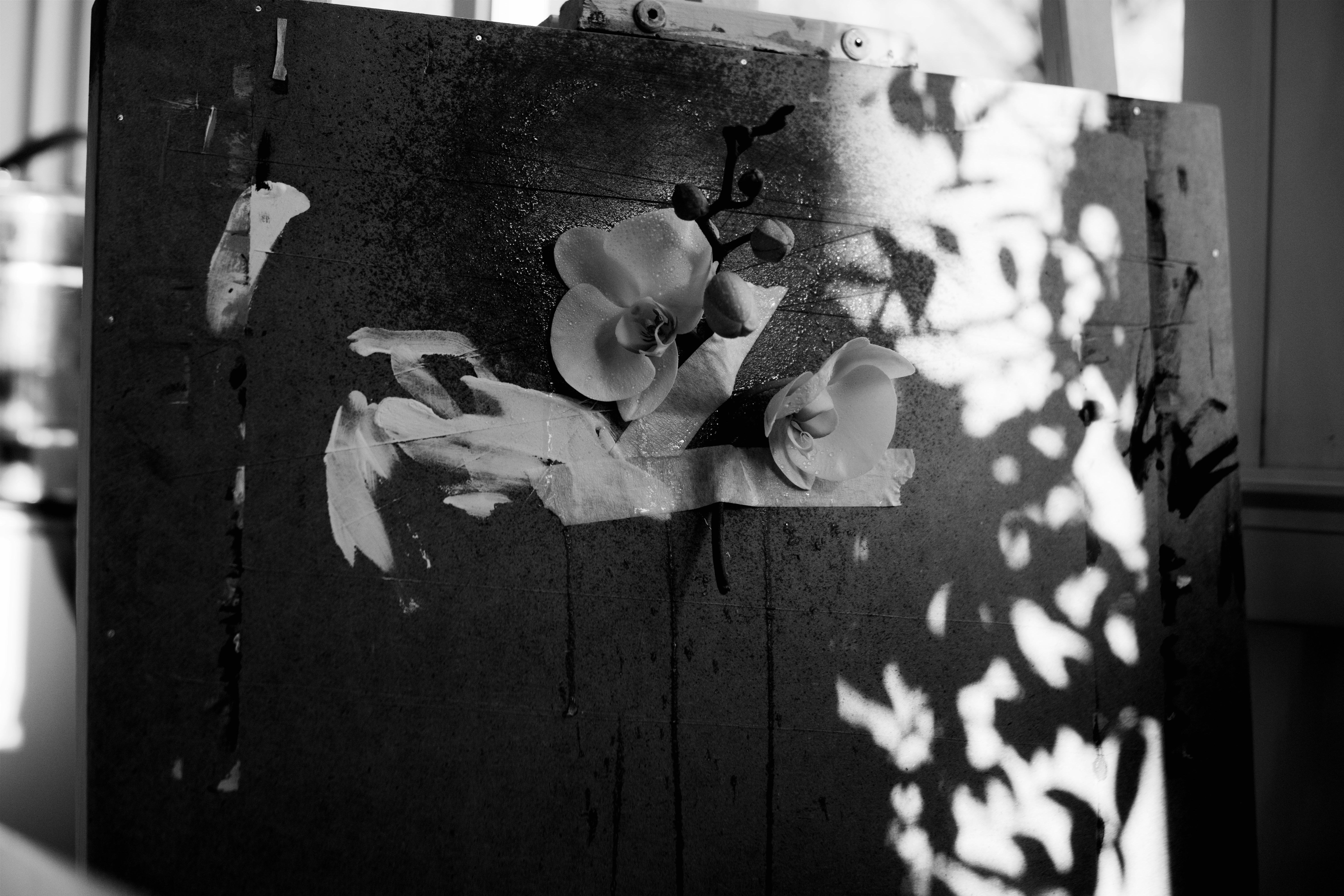 Bugün öğrendim ki: 1907'de İngiliz kadın...