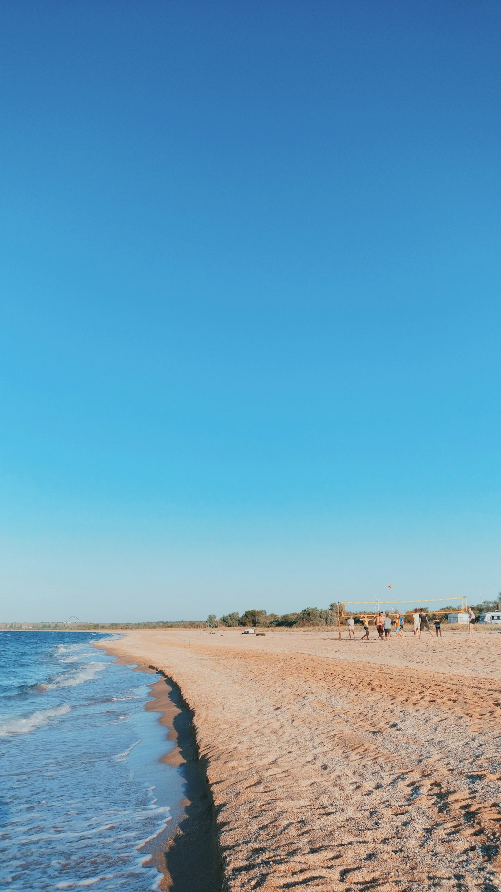 people on beach during daytime