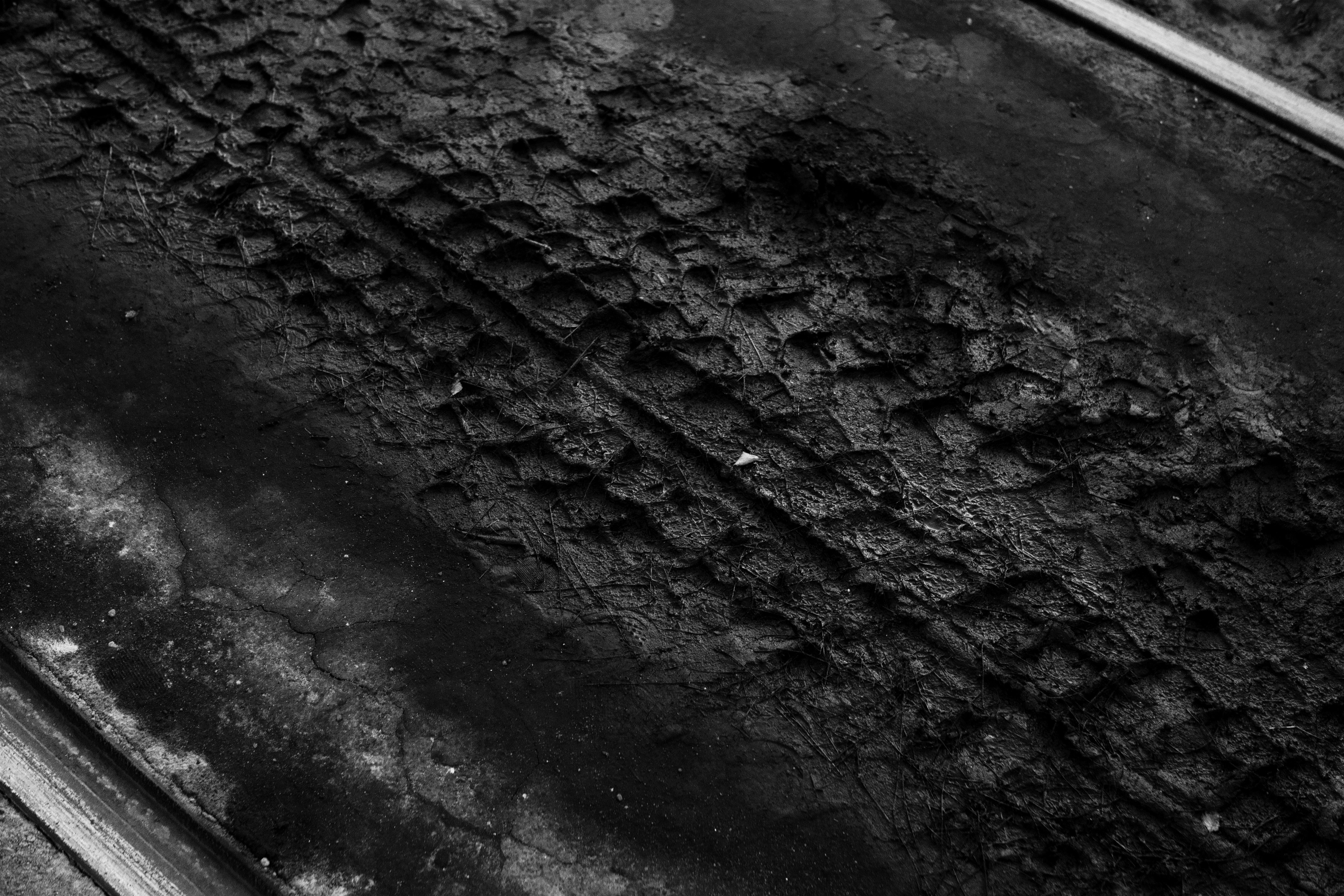 Photo by ivan_bolshakov