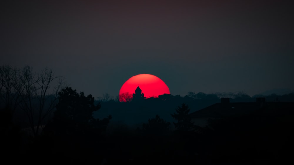 silhouette of trees during night time