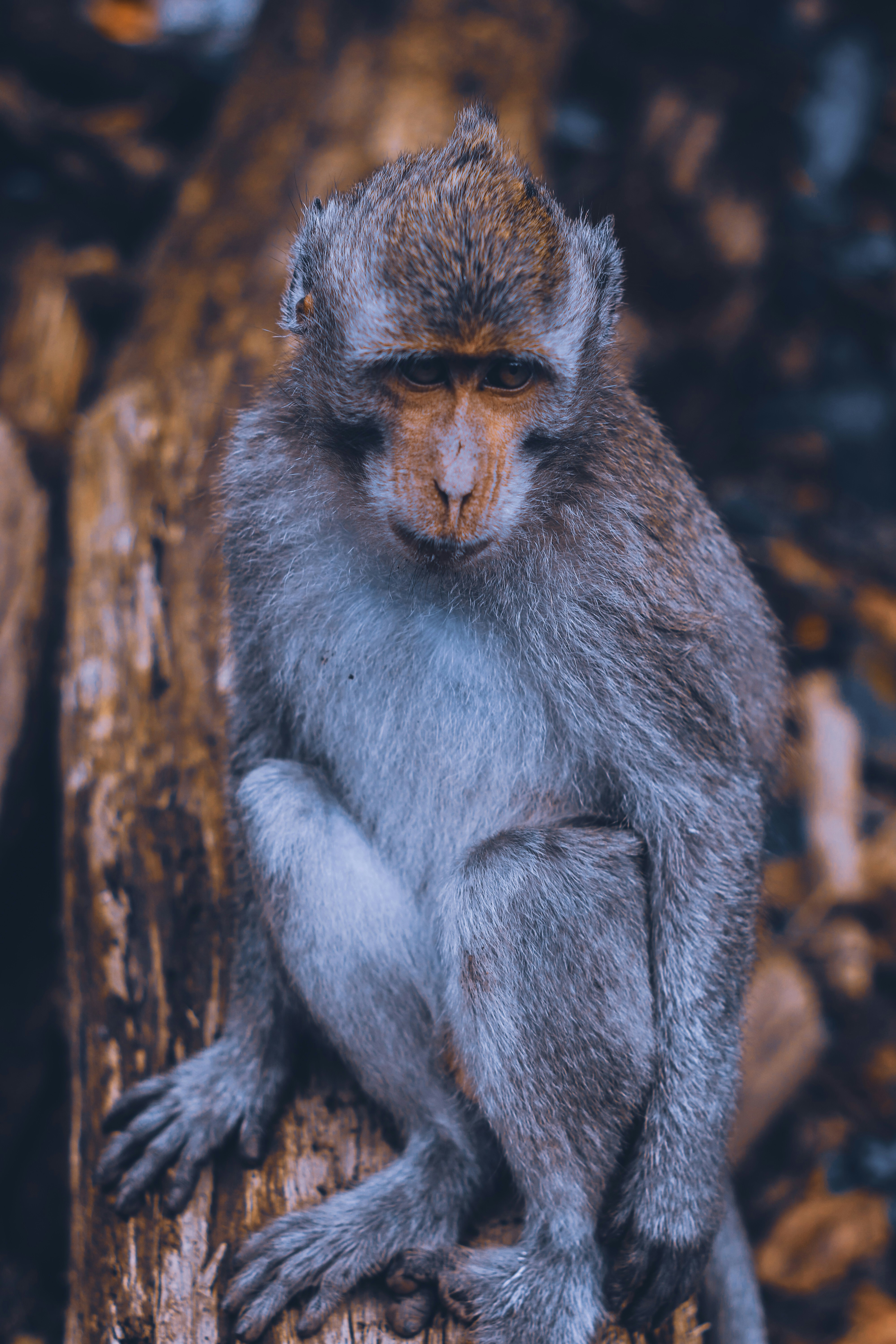 Photo by tourineflavin