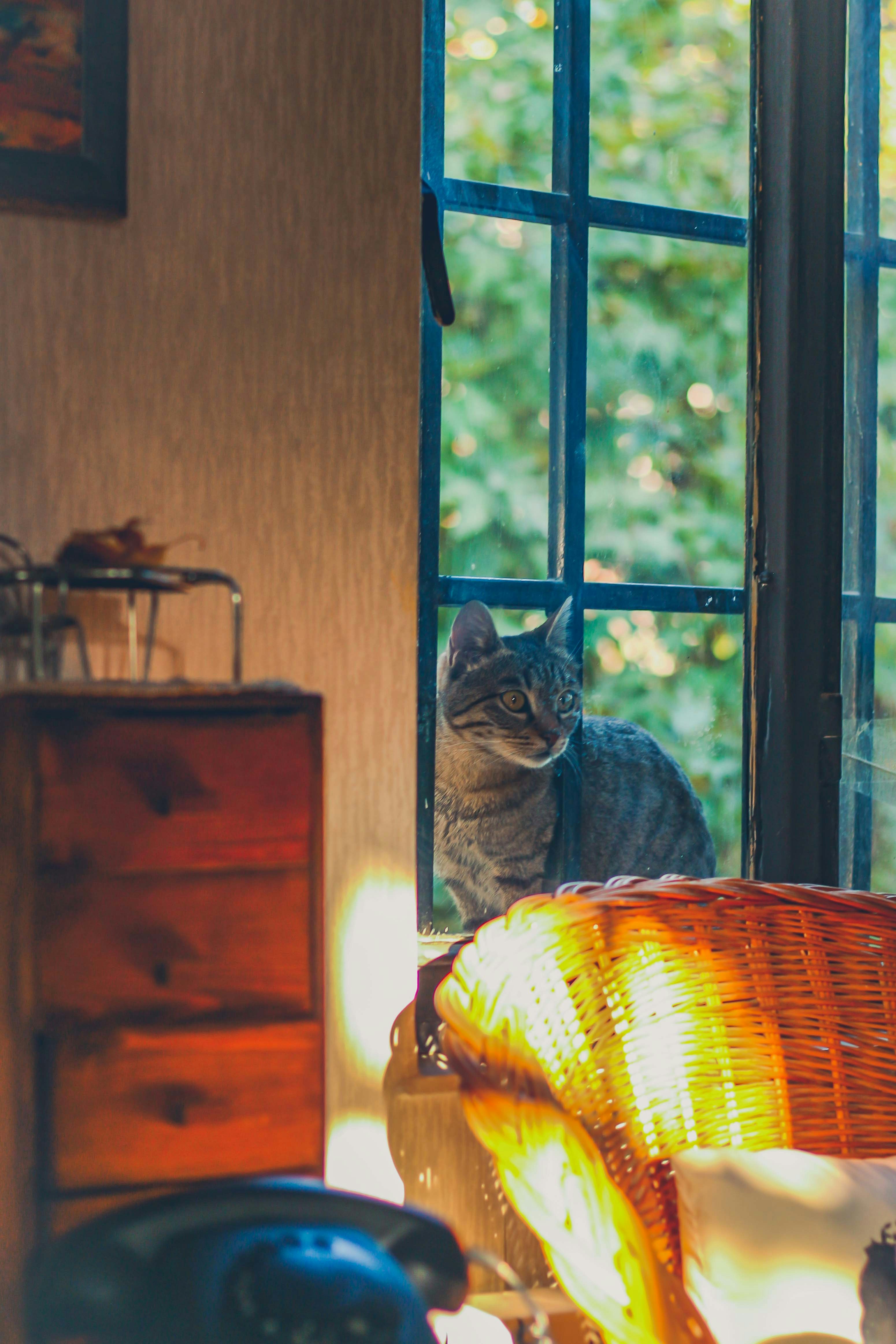 Photo by nasimkeshmiri