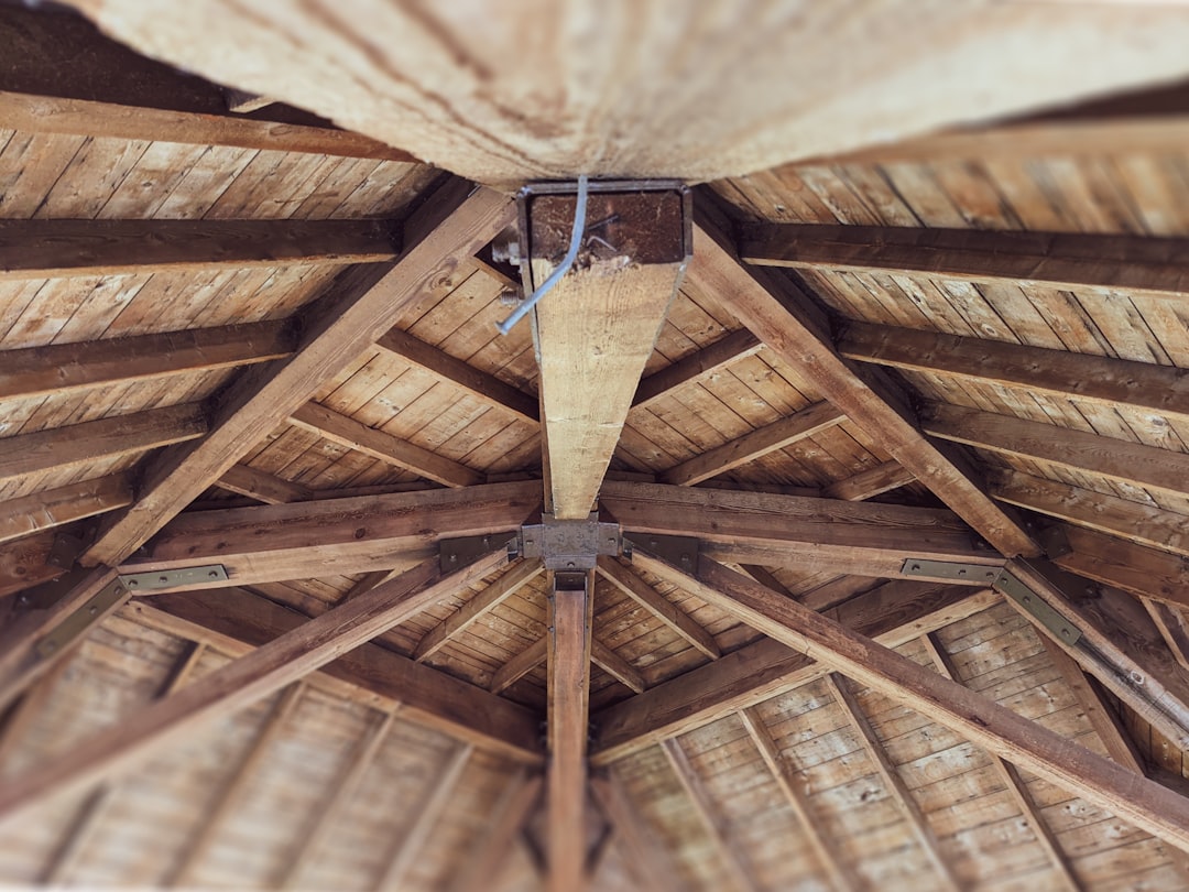 brown wooden ceiling with light bulb