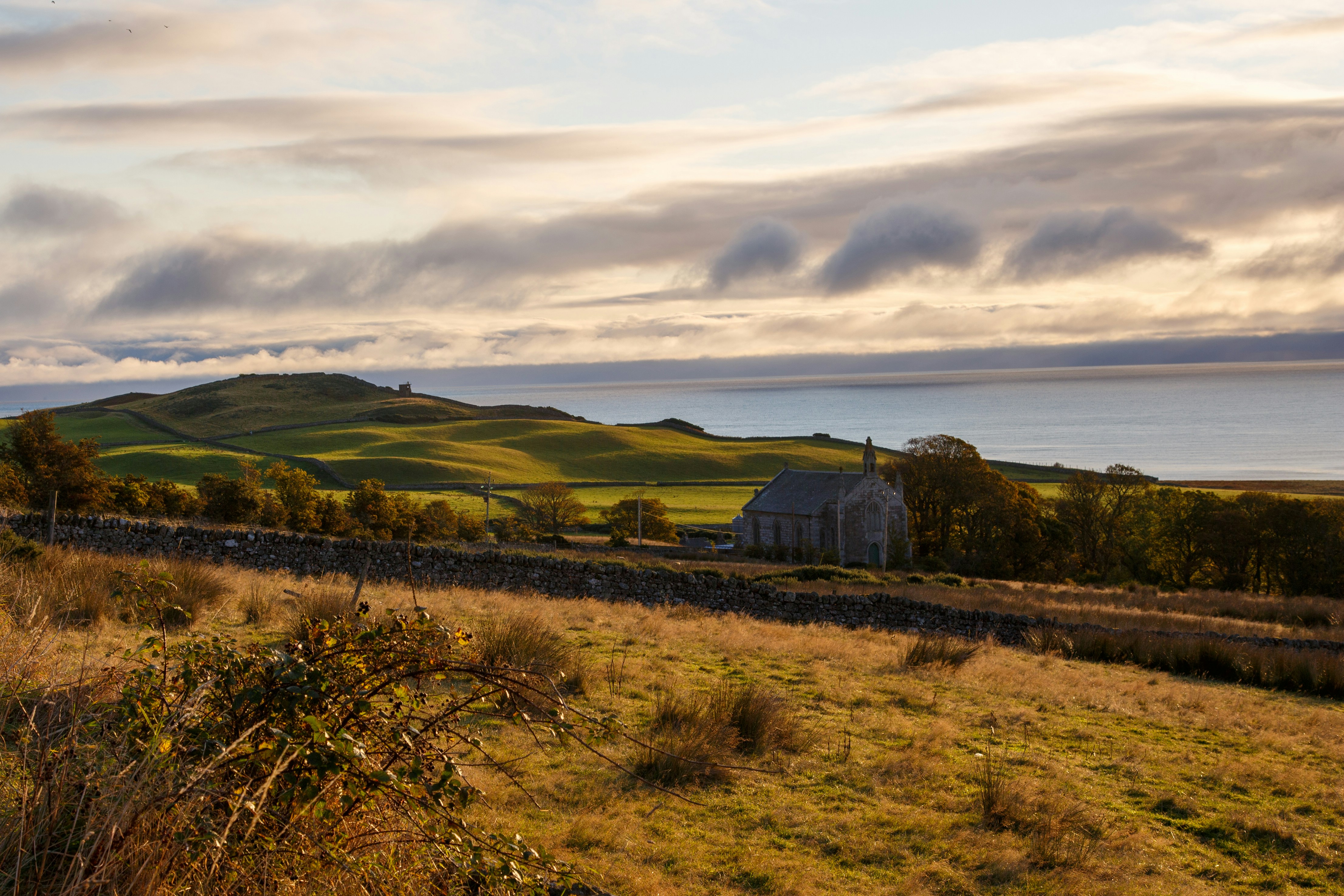 Photo by carrier_lost