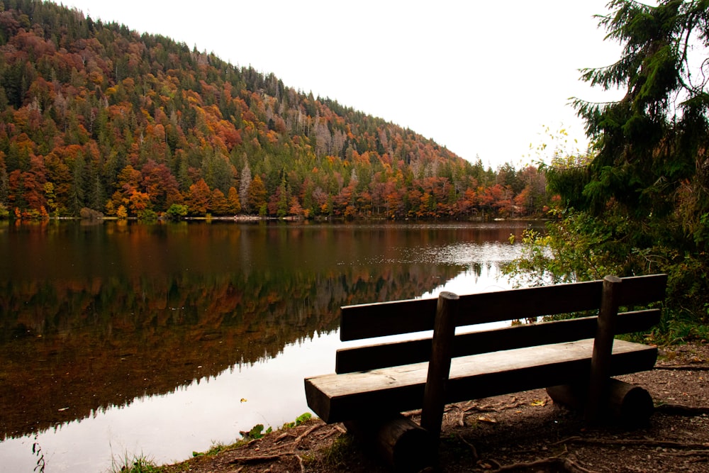 brown wooden bench near lake during daytime